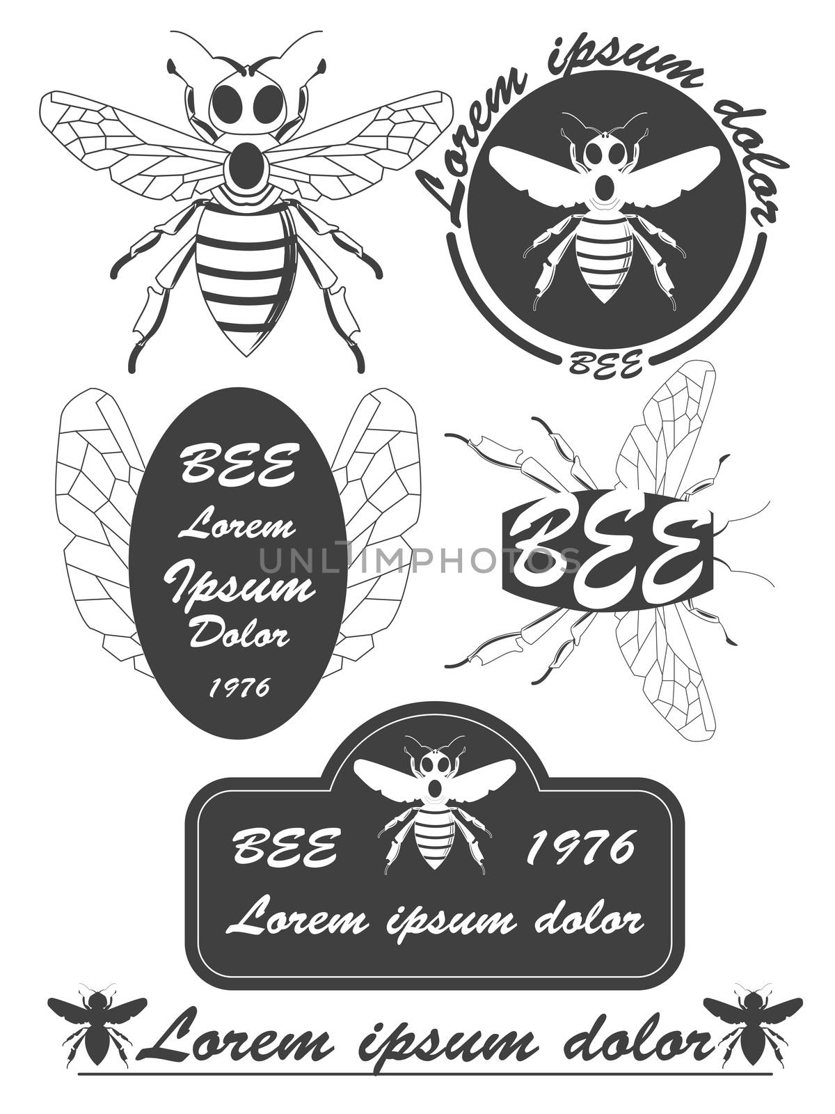 Set of vintage honey, bees labels, badges and design elements. illustration