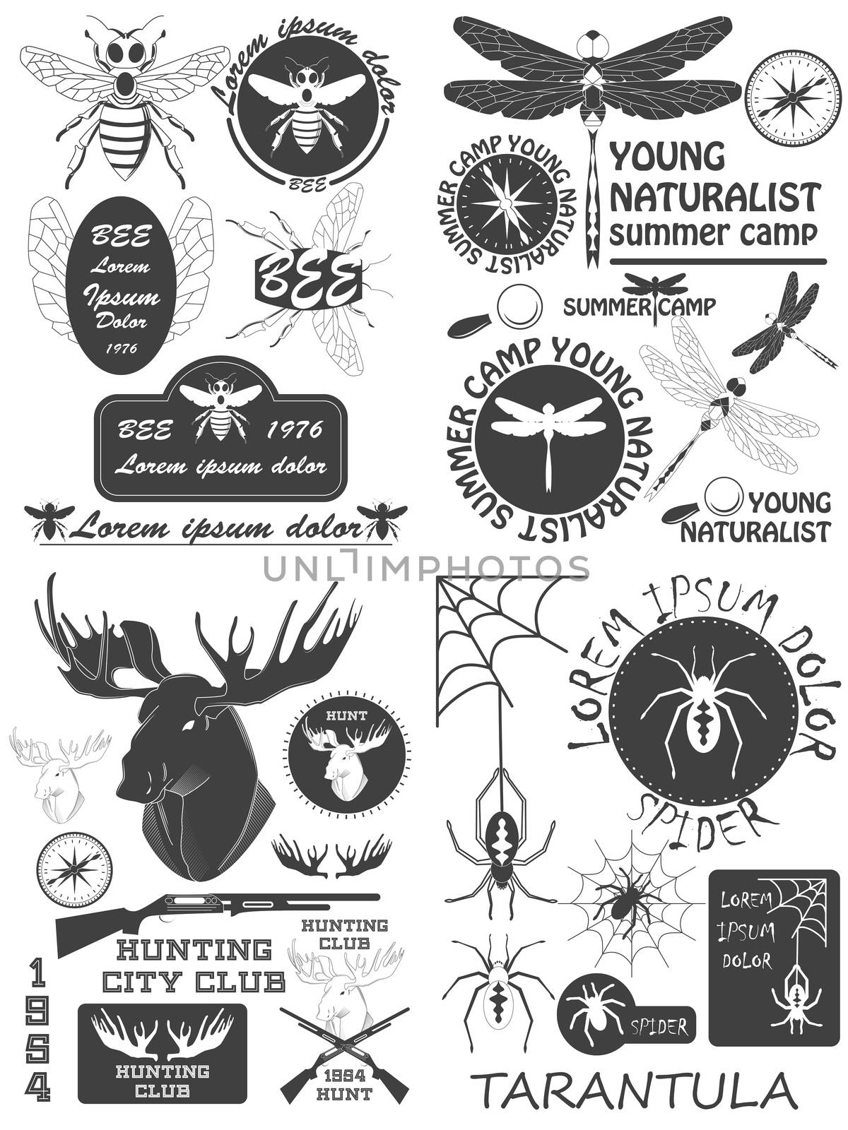 Set of vintage honey, bees labels, badges and design elements. by Adamchuk