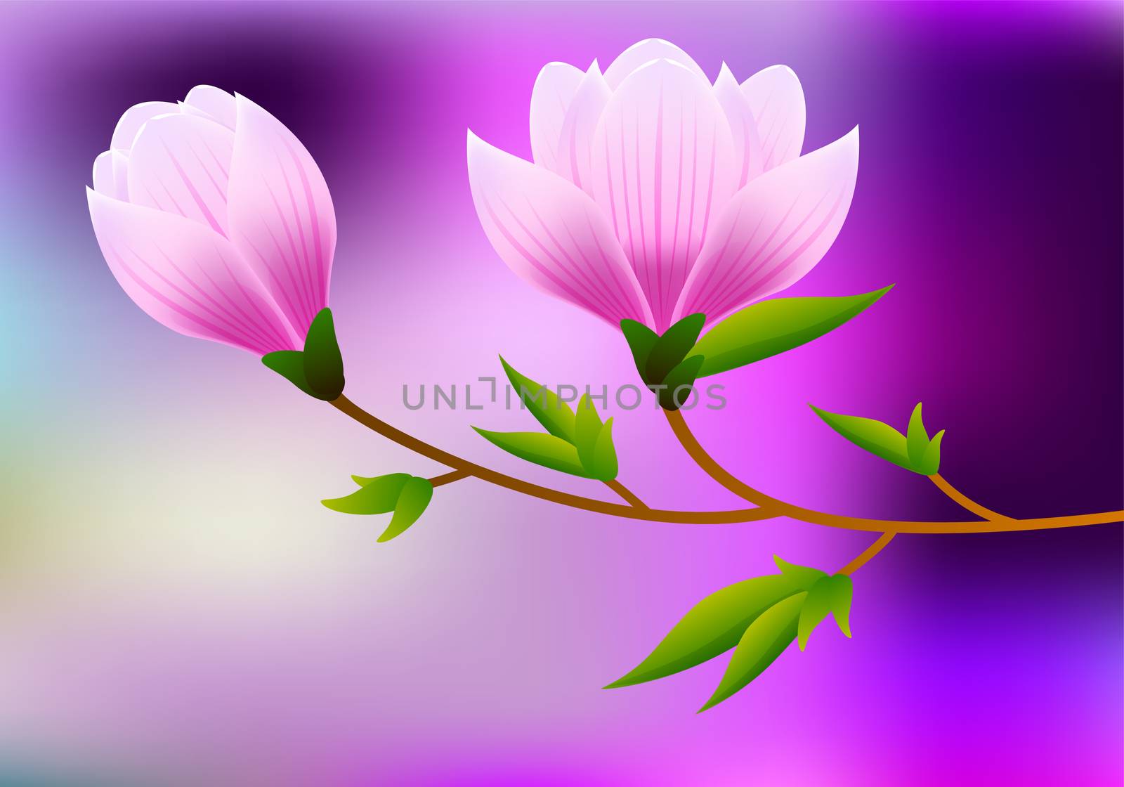Spring magnolia background with blossom brunch of pink flowers. illustration