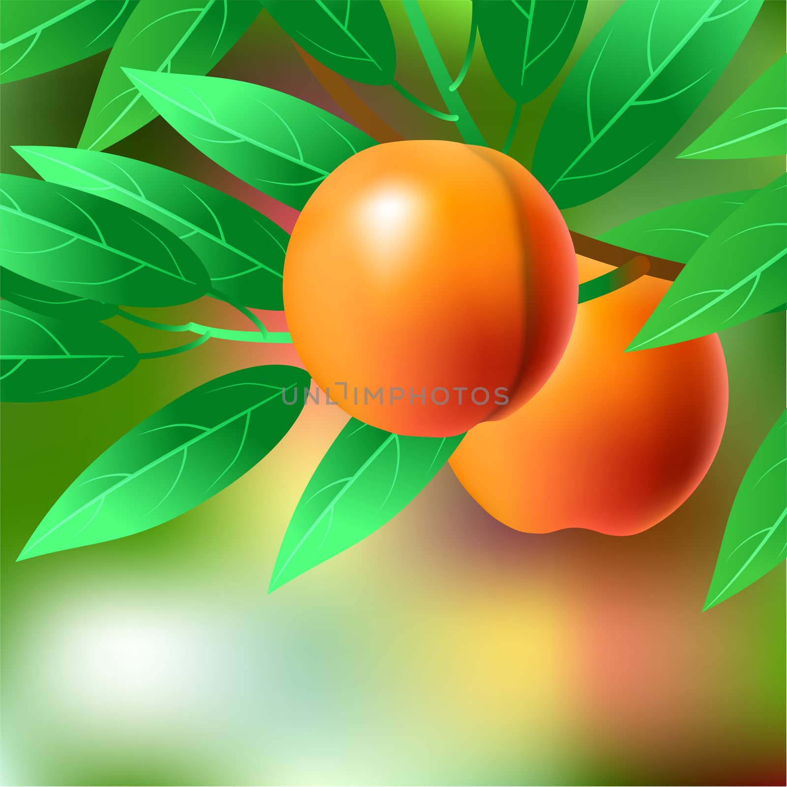 Orange, juicy, sweet peach on a branch for your design. illustration