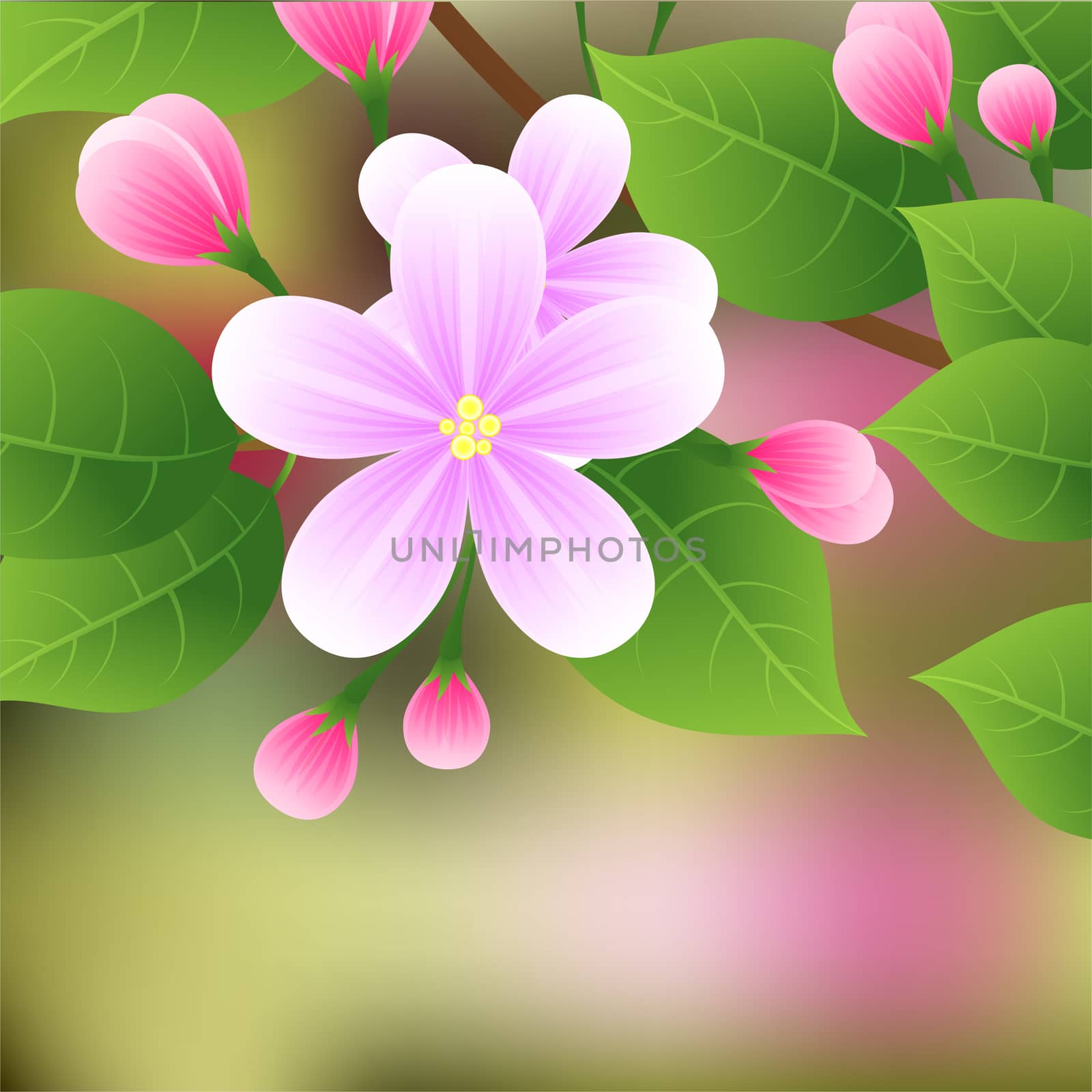 Blossoming apple tree branch with pink flowers. illustration