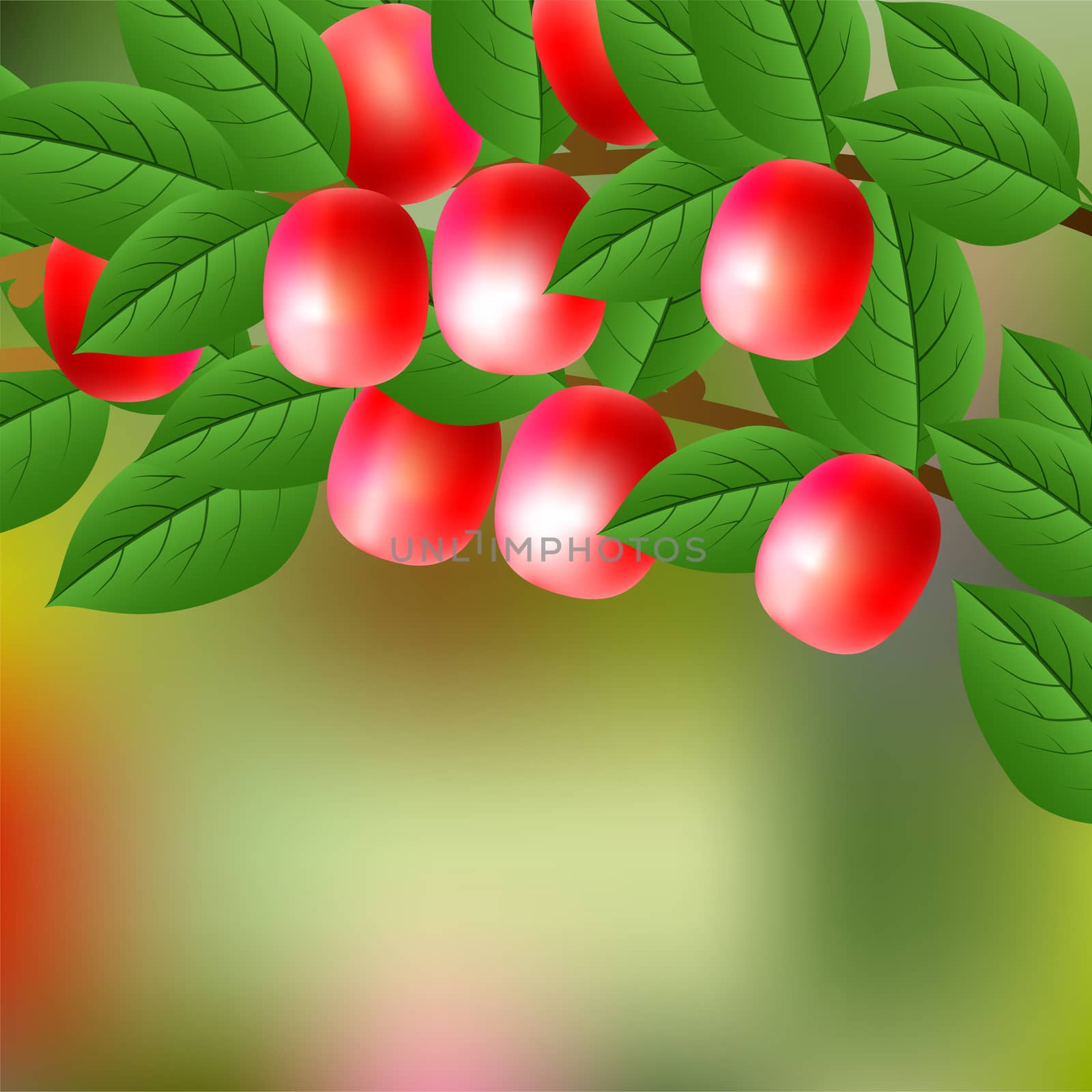 Red, juicy, sweet Nanking Cherry on a branch for your design. illustration