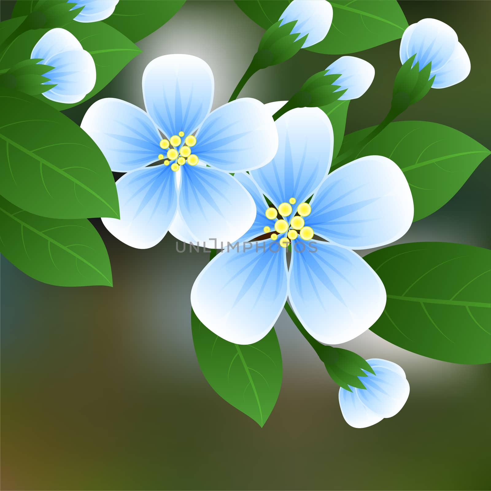 Flowering cherry. Blue flowers on a branch with green leaves and place for text. illustration