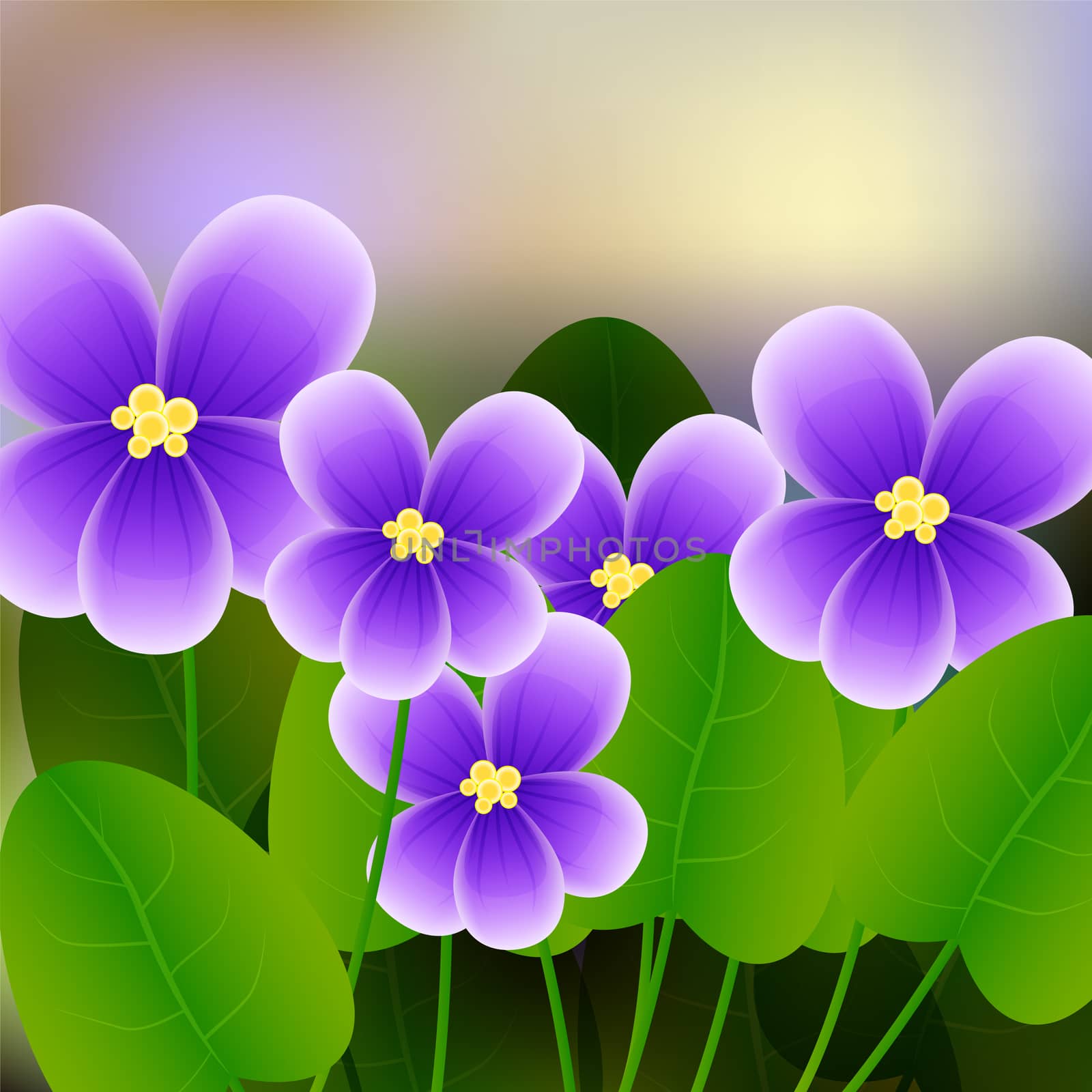 Spring background with blossom brunch of violet flowers. illustration