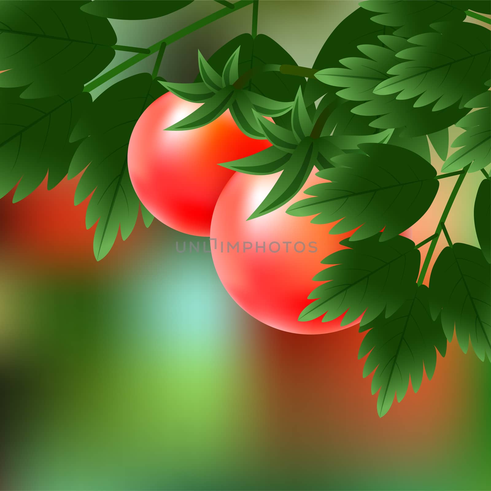 Red, juicy, ripe tomatoes growing on the green branch. illustration