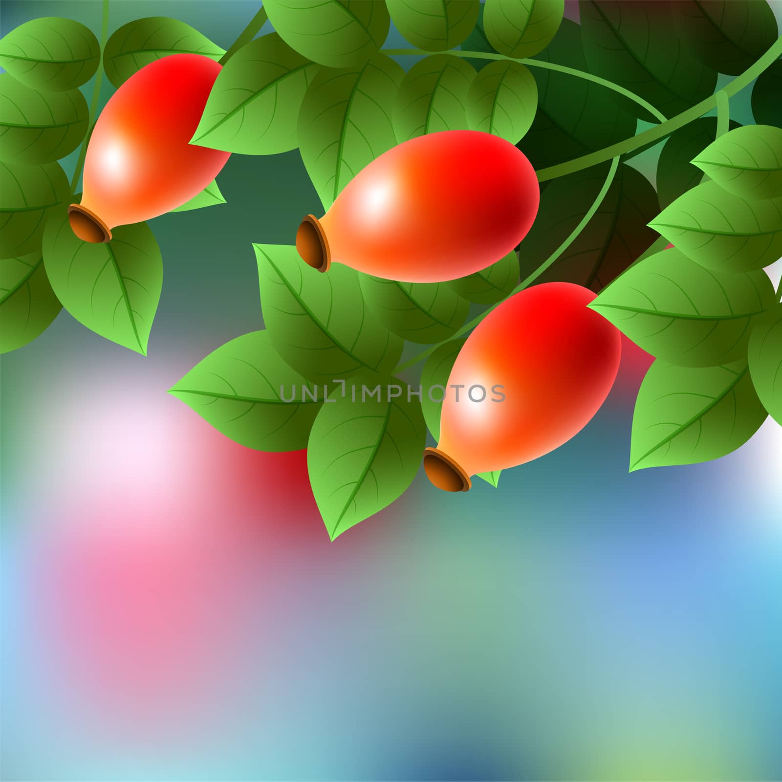 Red, ripe sweetbrier hanging on a branch with green leaves. illustration