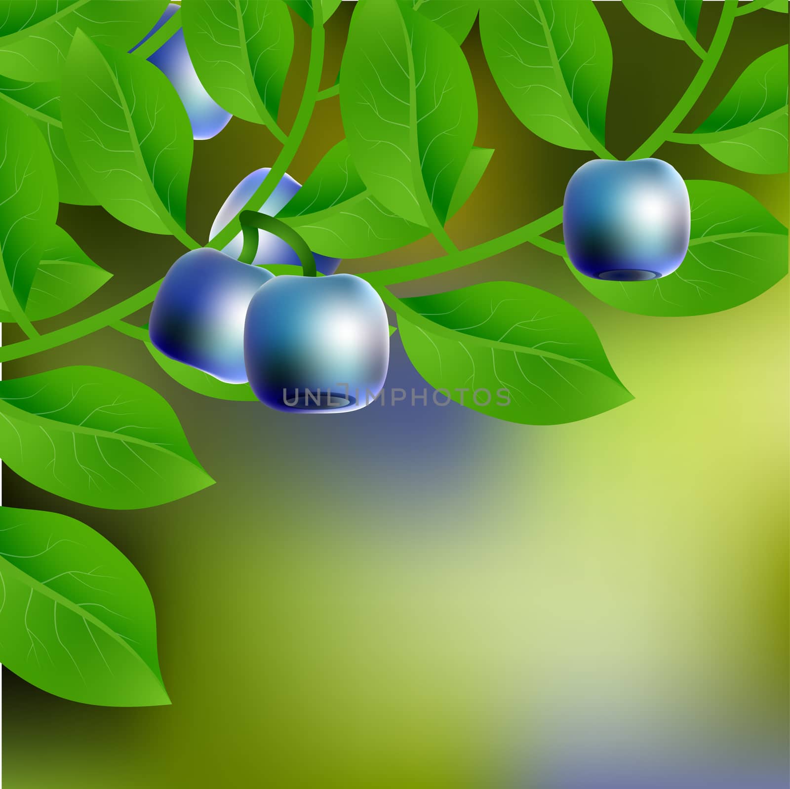 Blue-black, juicy, sweet blueberry on a branch for your design. by Adamchuk