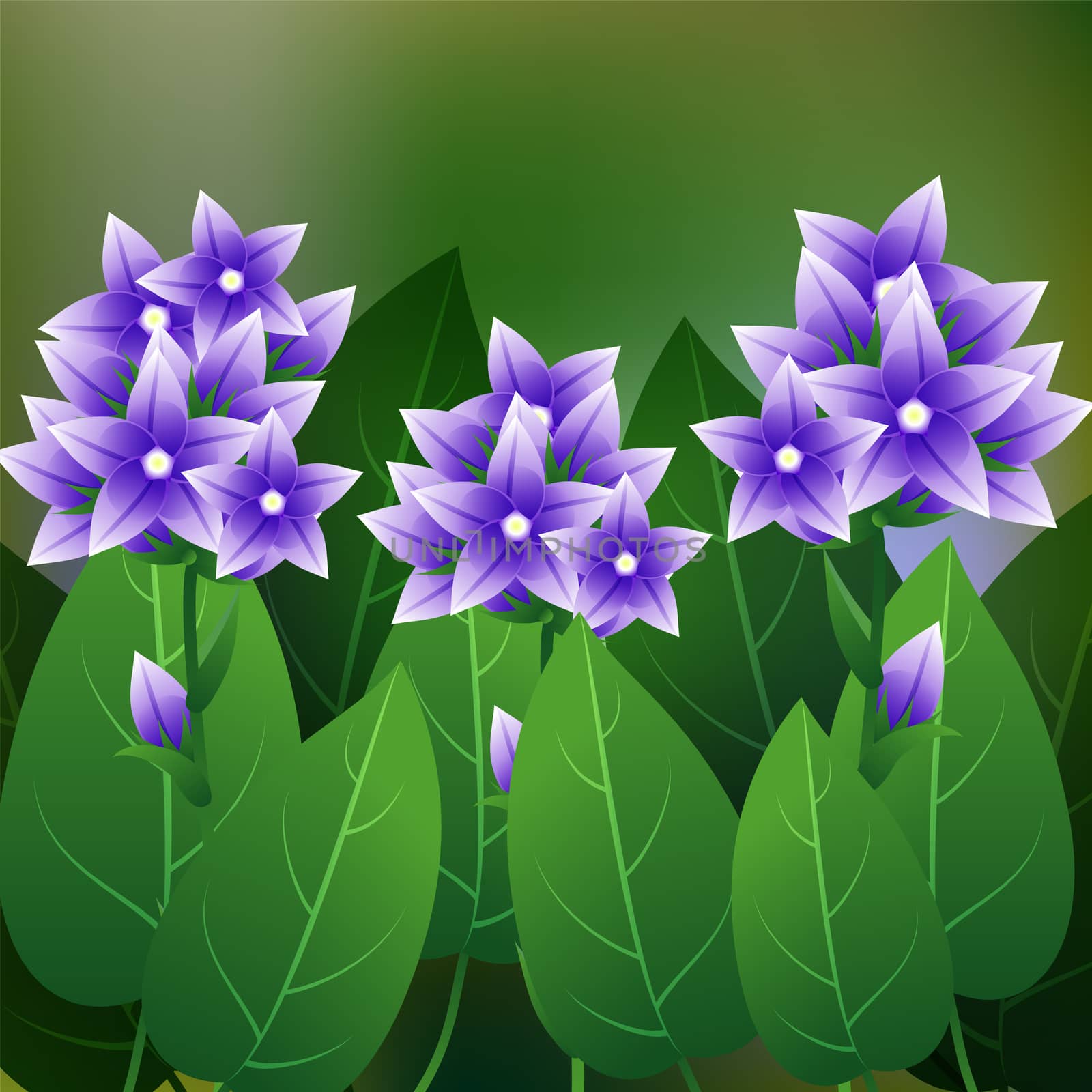 Beautiful Flower, Illustration of Campanula glomerata Flower or Harebell with Green Leaves on Tree Branch. illustration