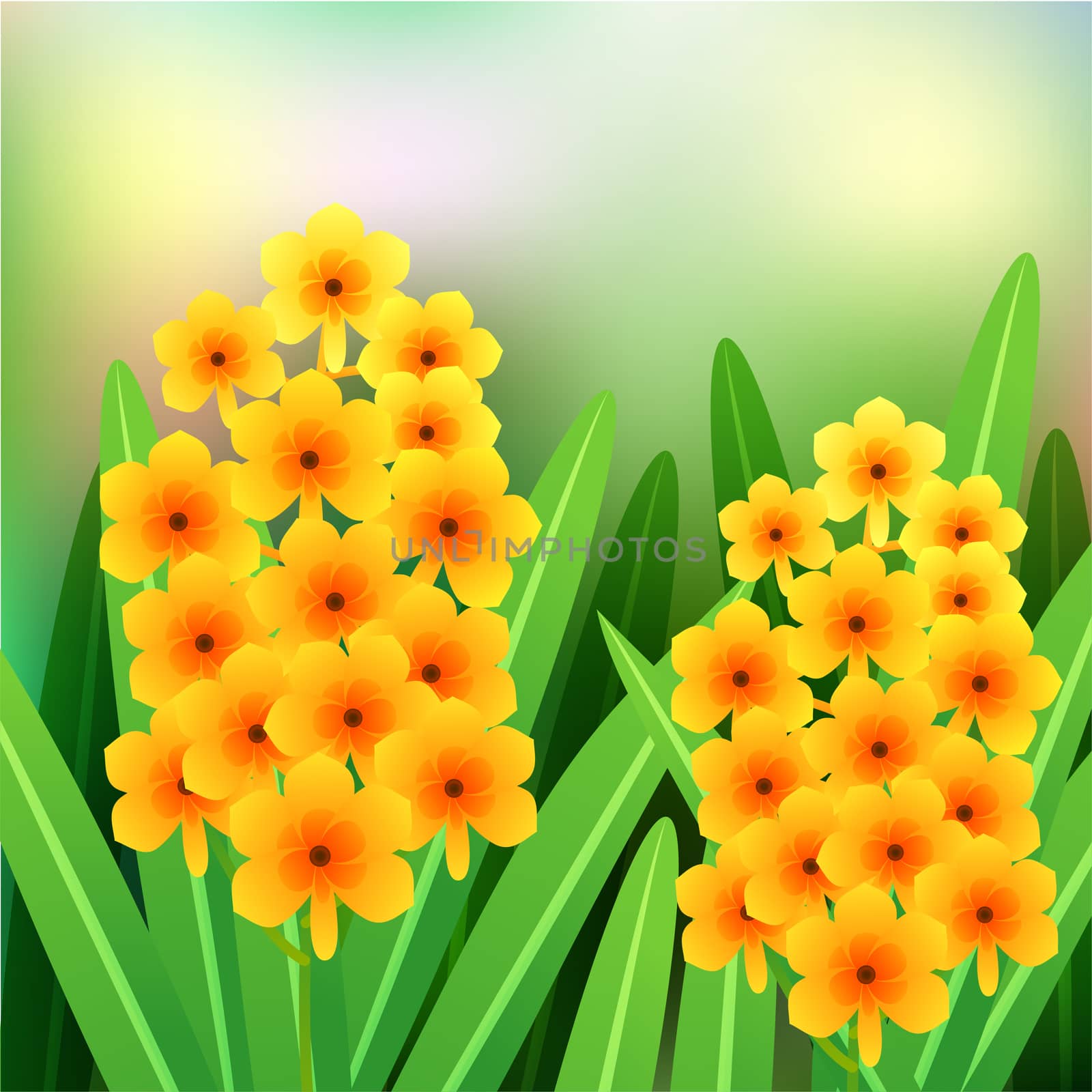 Orange Ascocentrum orchid flowers with green leaves and place for your text. illustration