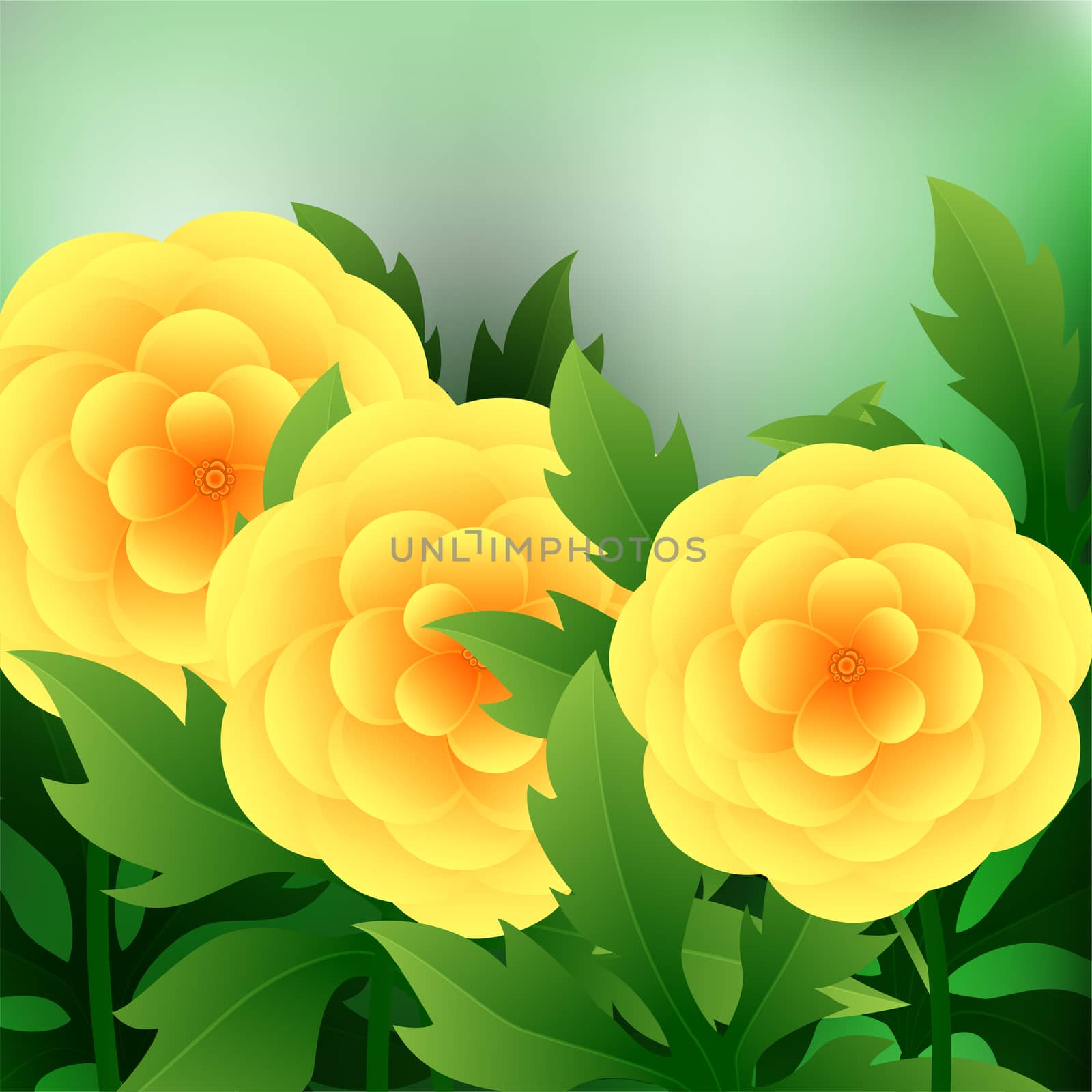 Beautiful spring flowers Ranunculus. Cards or your design with space for text. illustration
