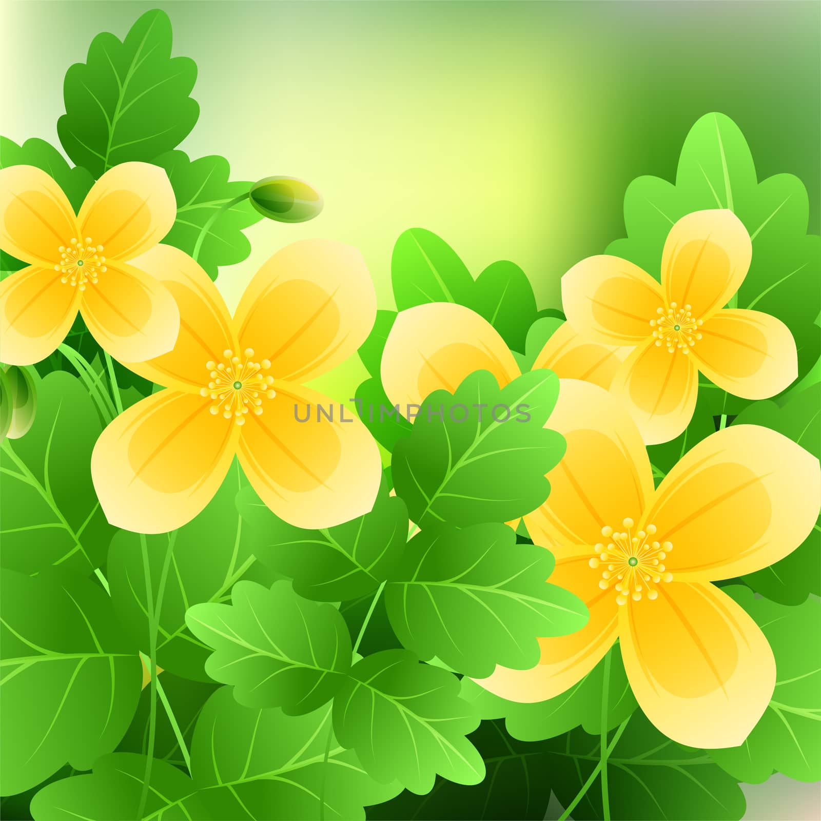 Beautiful spring flowers Celandine. Cards or your design with space for text. by Adamchuk