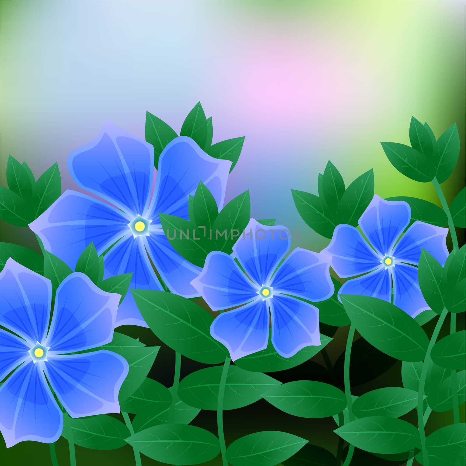 Periwinkle spring flower on blue background with place for text. illustration