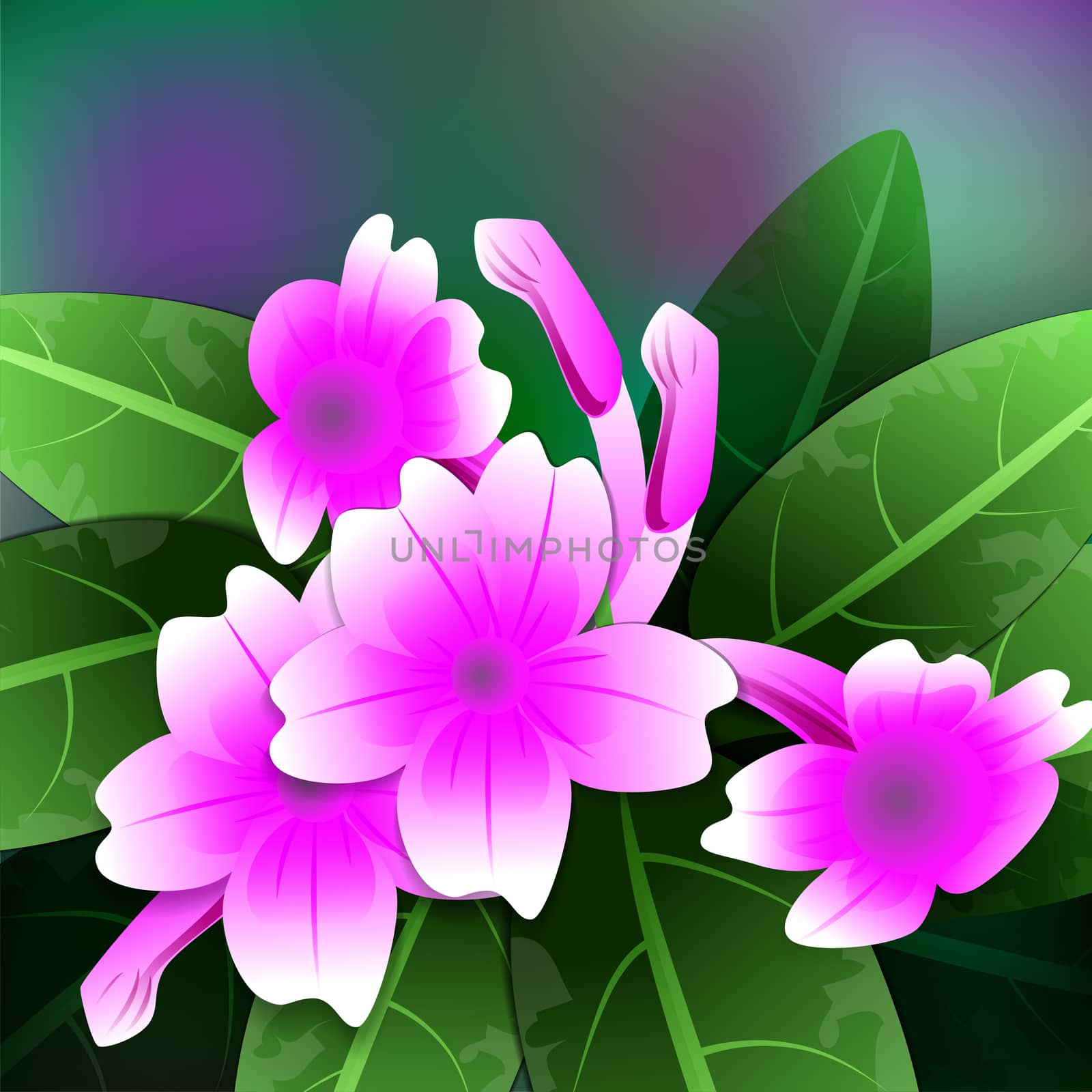 Beautiful spring flowers Ruellia. Cards or your design with space for text. illustration