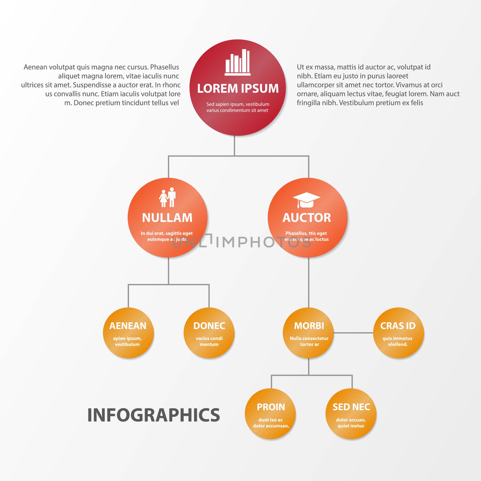 Business Infographics circle origami style. can be used for workflow layout, banner, diagram, number options, step up options web design. by Adamchuk