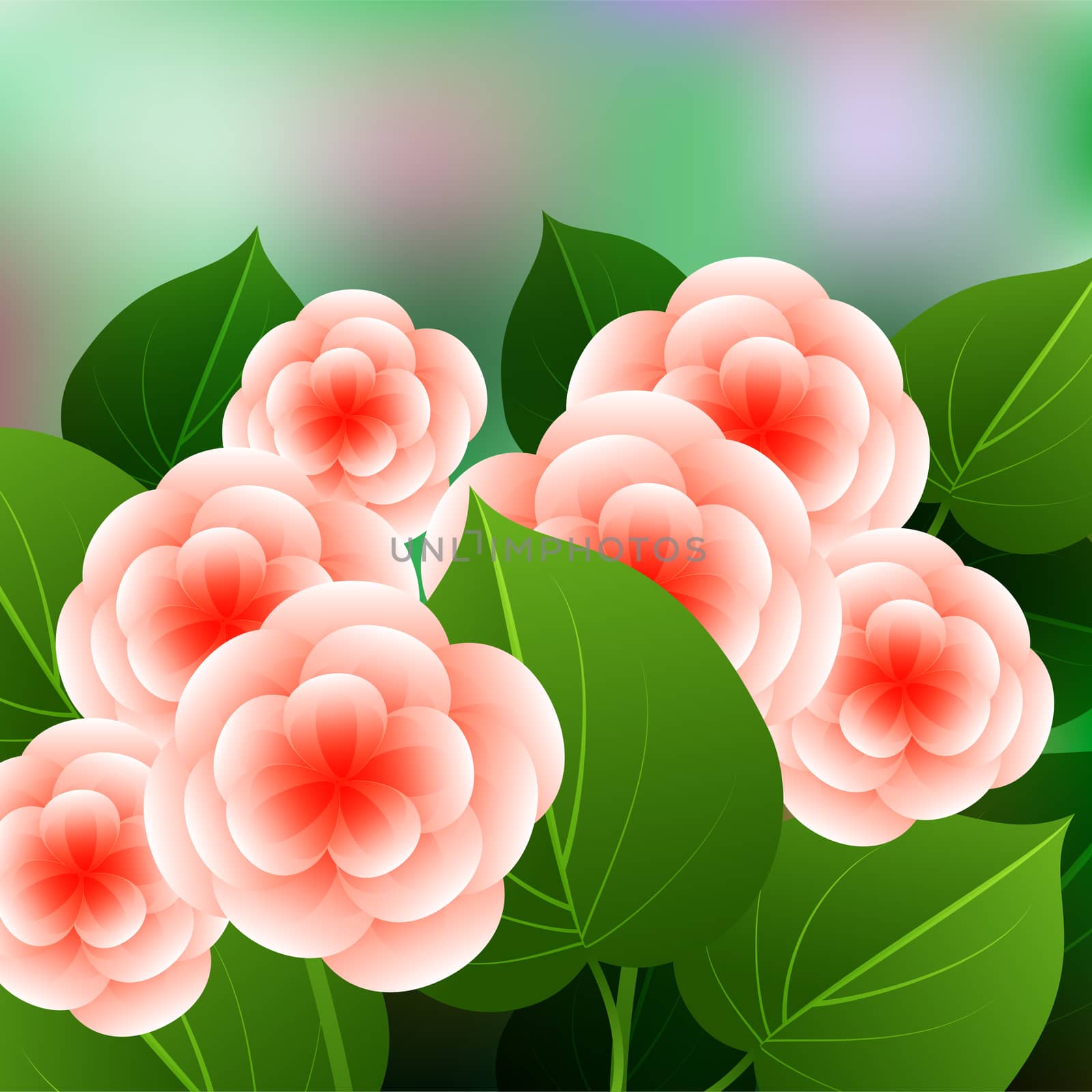 Beautiful spring flowers Begonia. Cards or your design with space for text. by Adamchuk