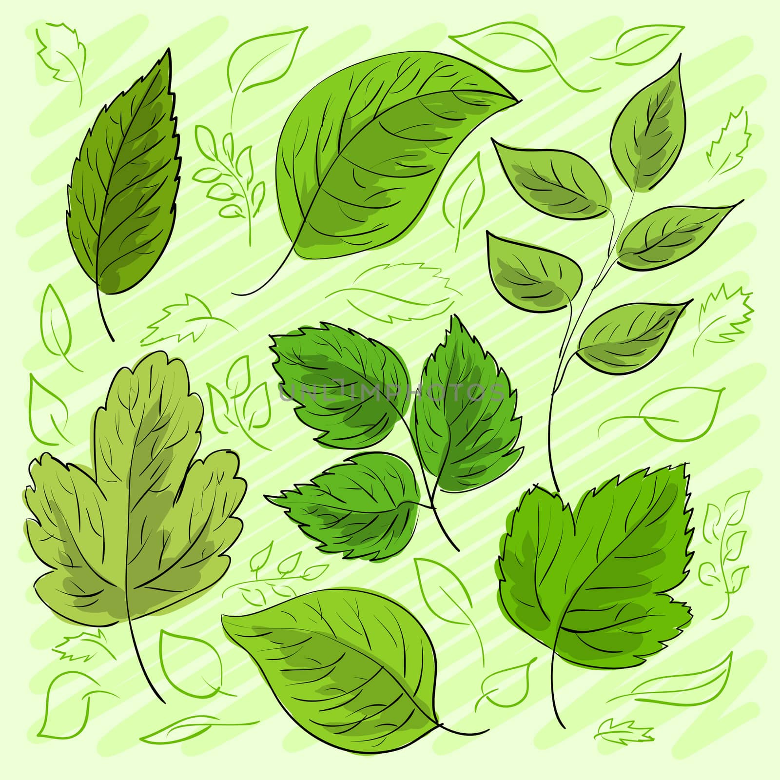 Set of green leaves hand-drawn for your design. illustration