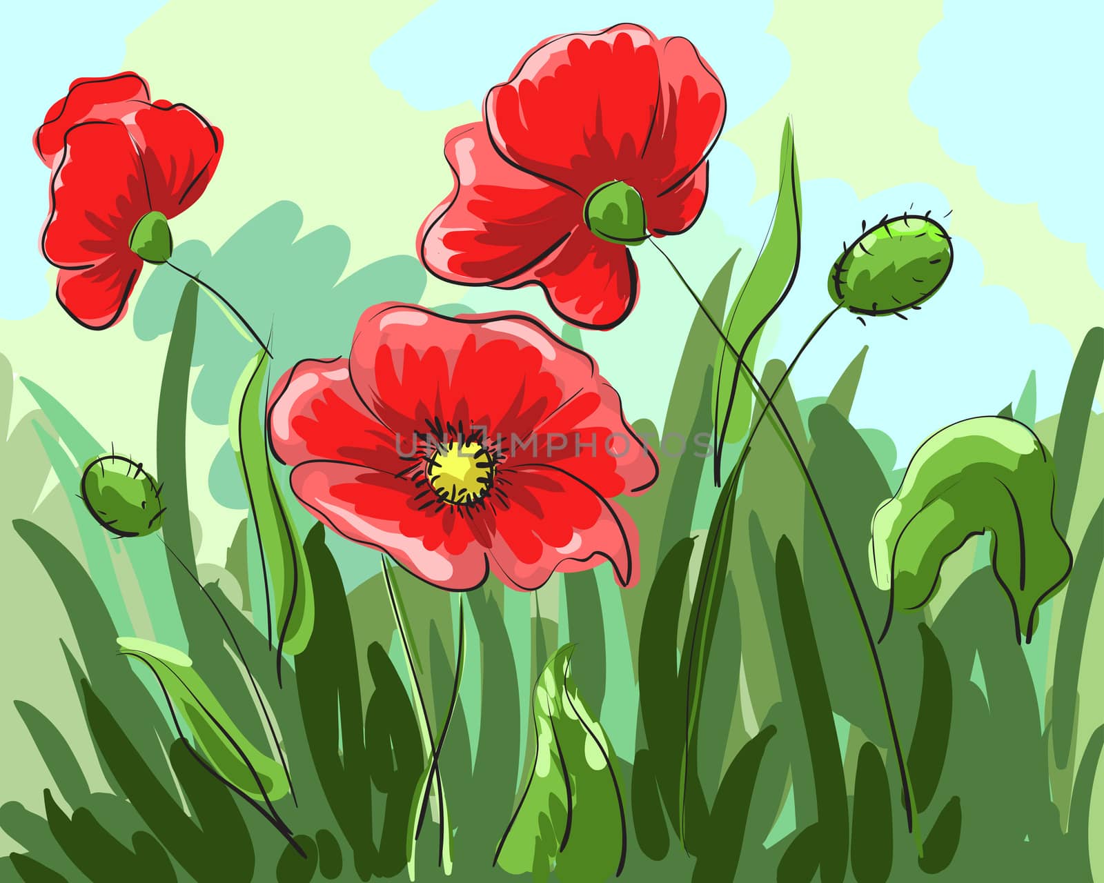 red poppies painted by hand grow on the field with green leaves. by Adamchuk