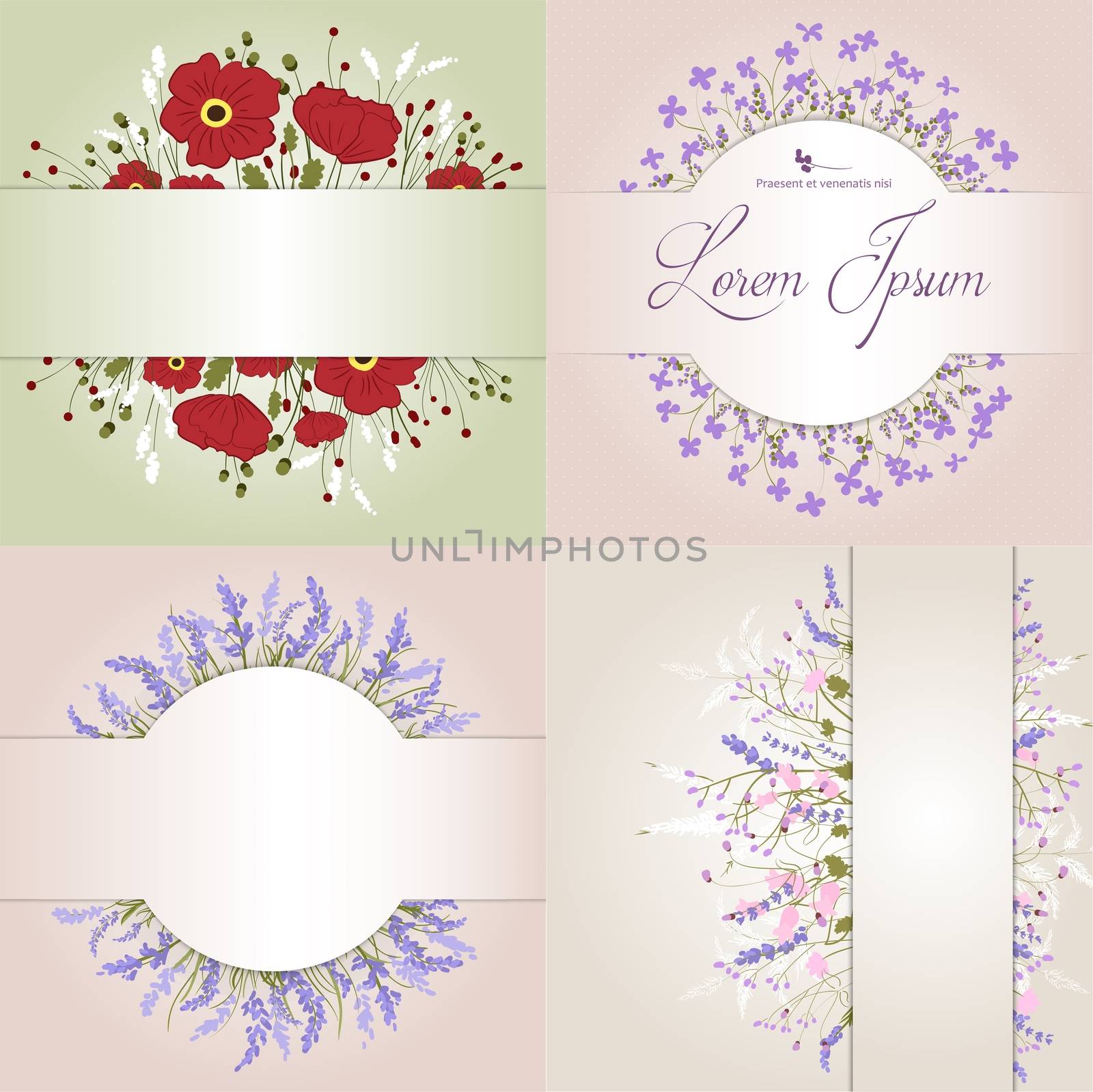 Composition of delicate wild flowers on a beige background with space for your text. Card. illustration