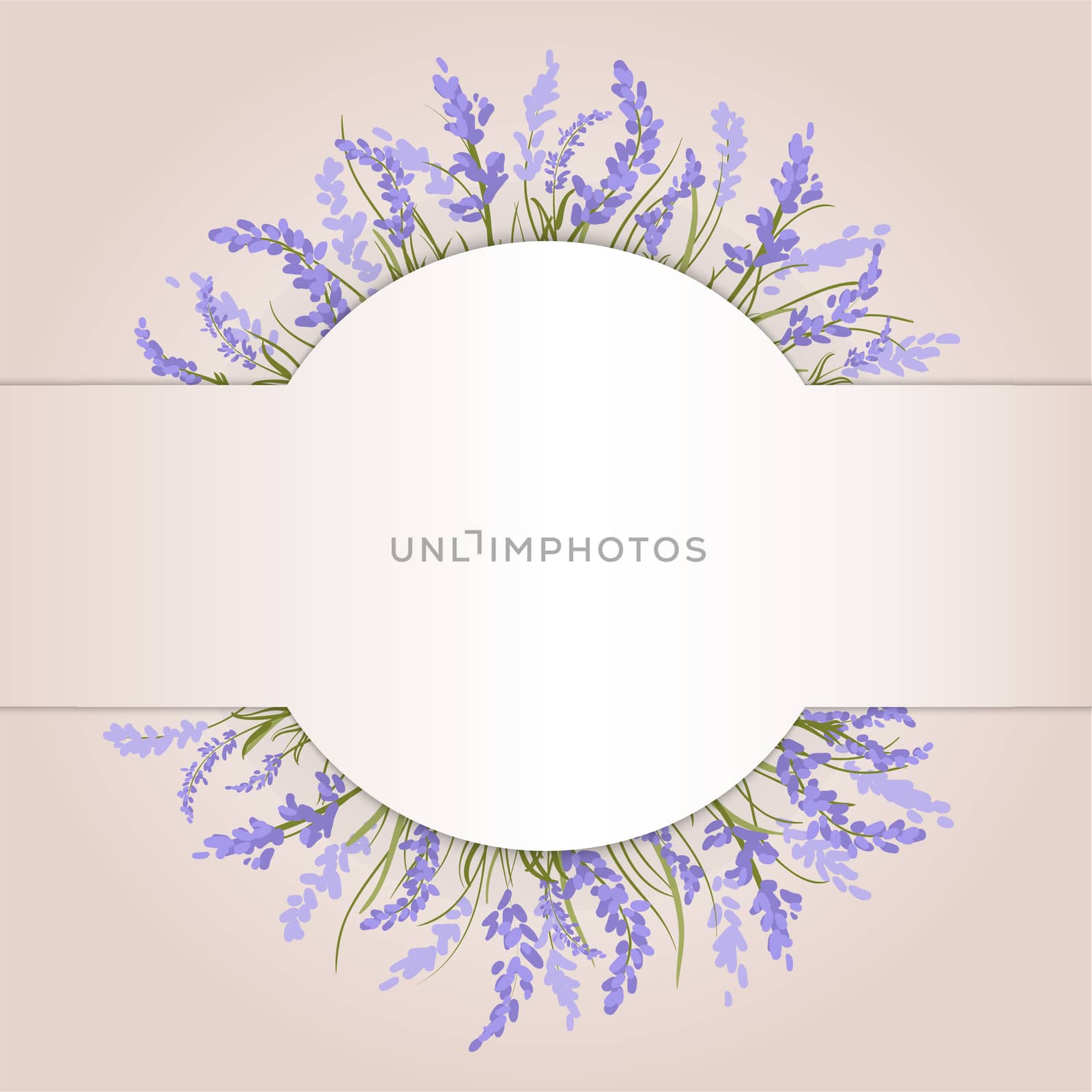 Composition of lavender on beige background with space for your text. Card. illustration