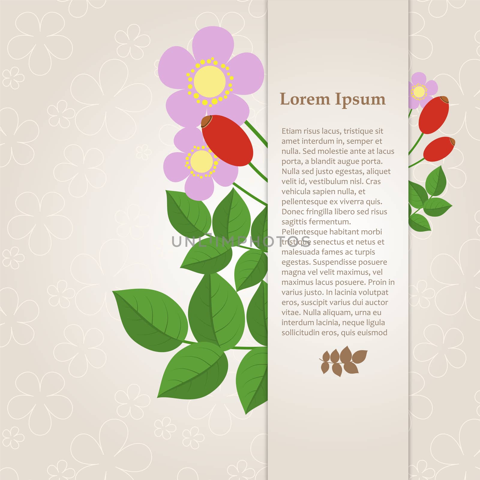 Floral composition with rose hips on a beige background with space for your text. Card. illustration