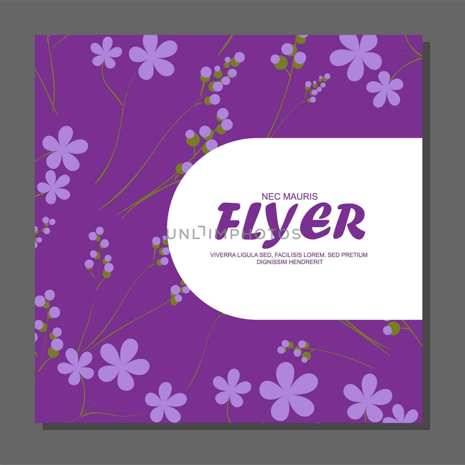 Violet flowers on a flyer. Can be used as greeting cards or wedding invitation. illustration