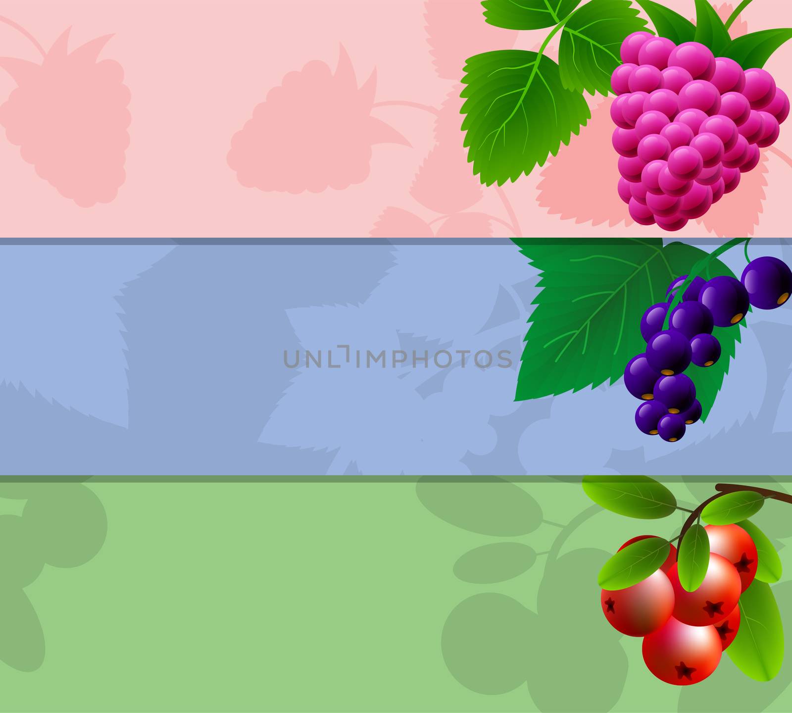 Three banner with raspberries, currants and cranberries with space for your advertising. illustration