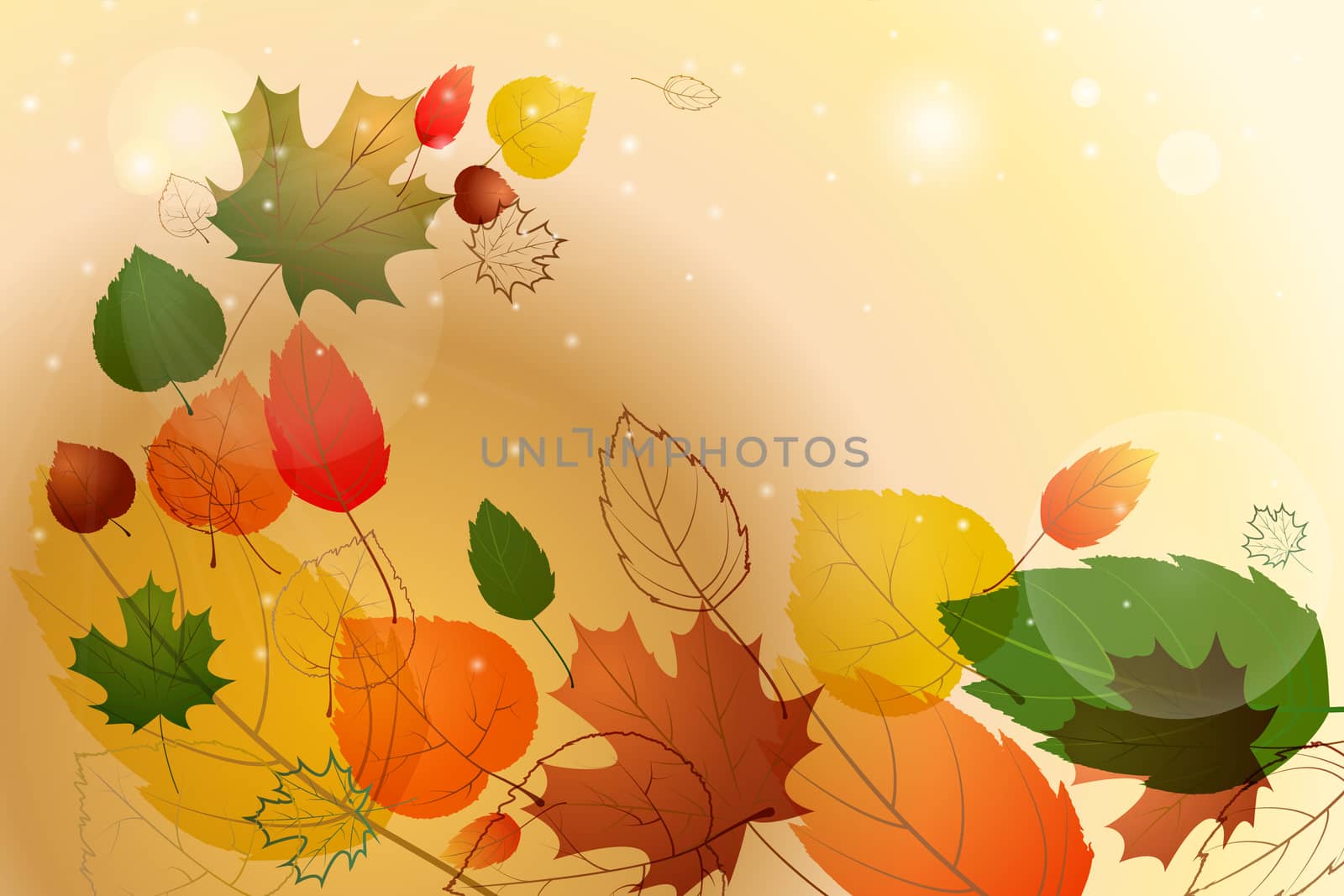 Colorful leafs with sample text. Autumn floral background. illustration