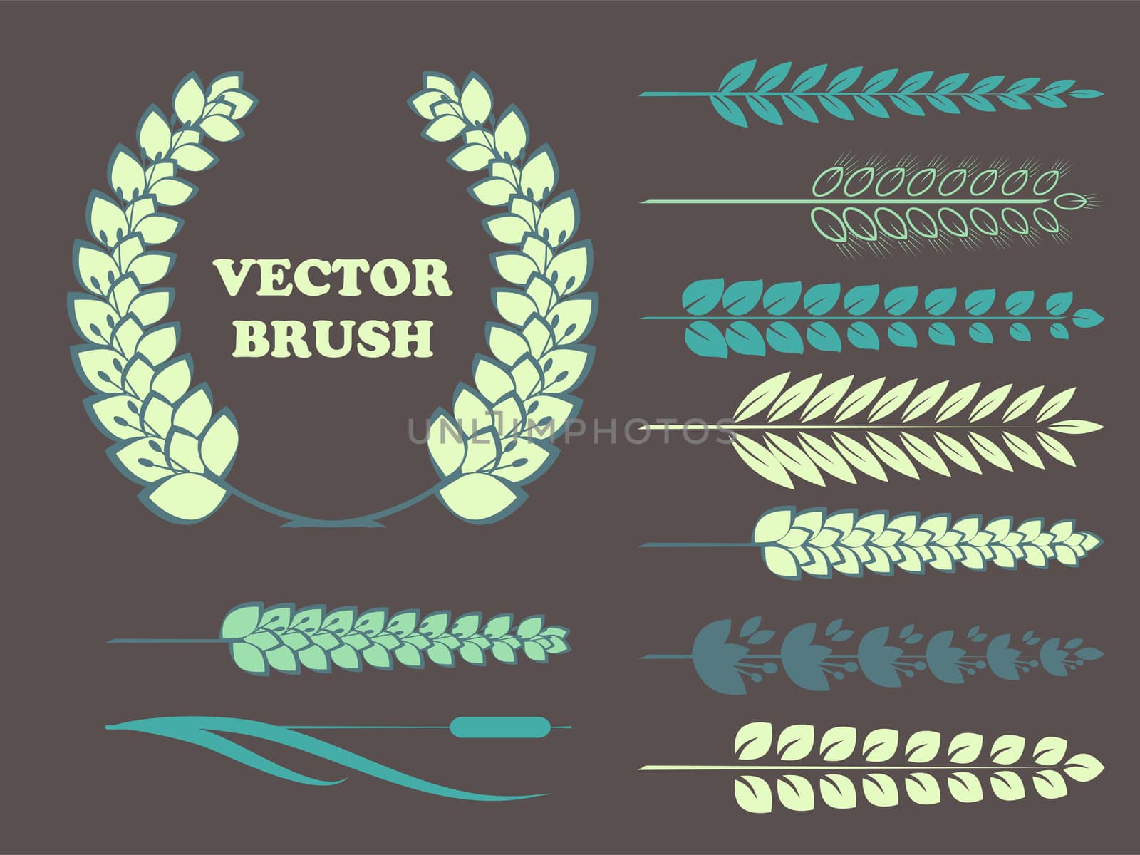 a set of brushes in the form of wheat for your design. illustration