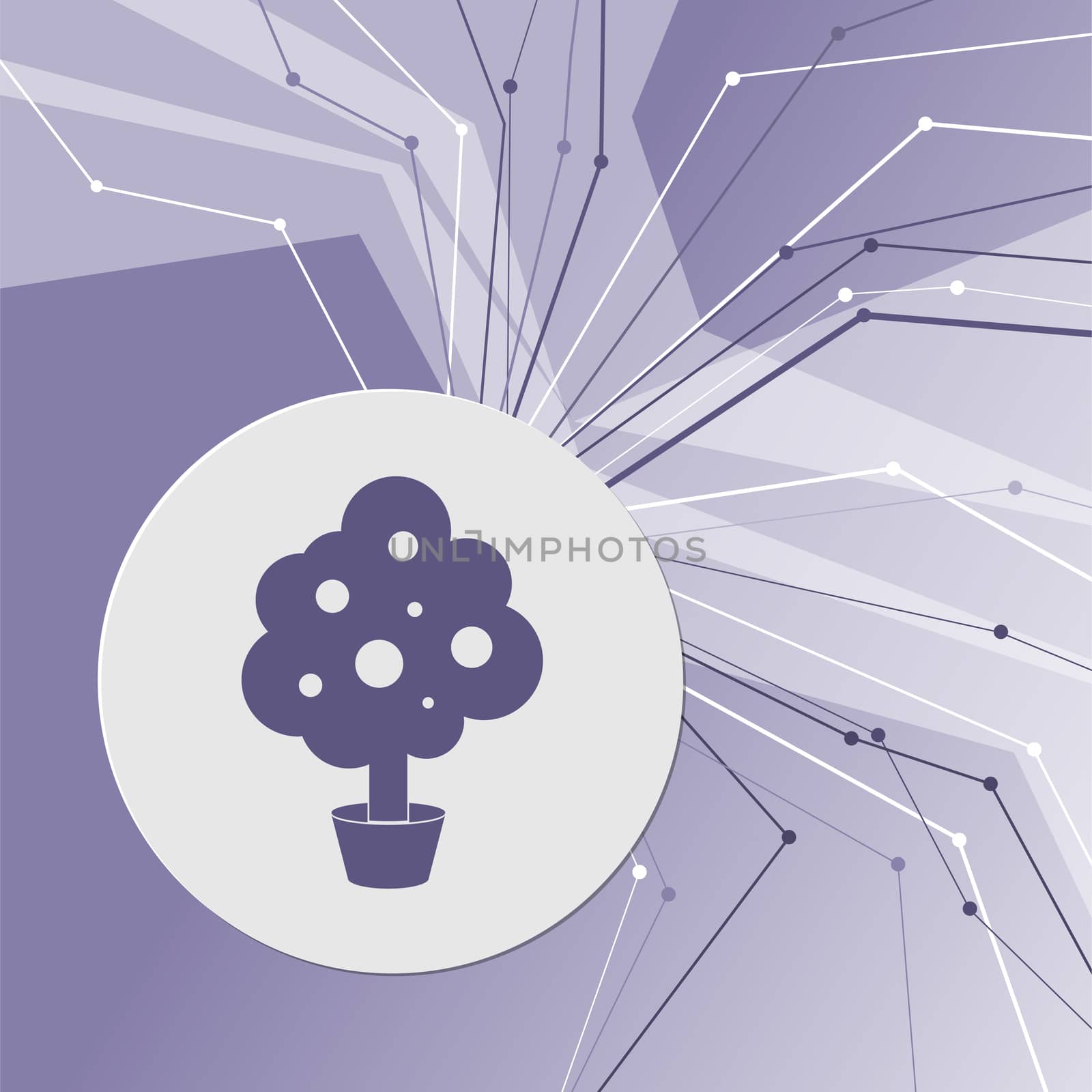 tree Icon on purple abstract modern background. The lines in all directions. With room for your advertising. illustration