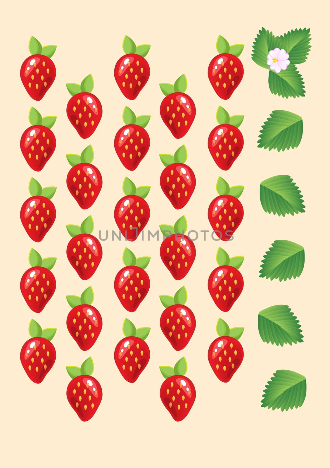Ripe juicy red strawberries isolated with leaves and flowers. illustration