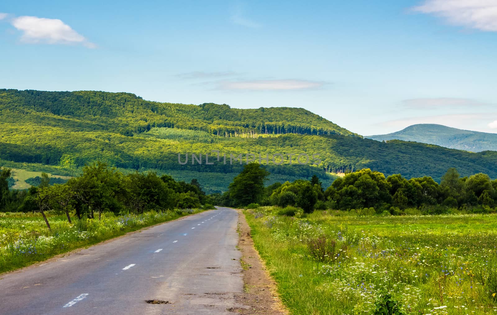 road through mountainous countryside. fields and forest on the side.