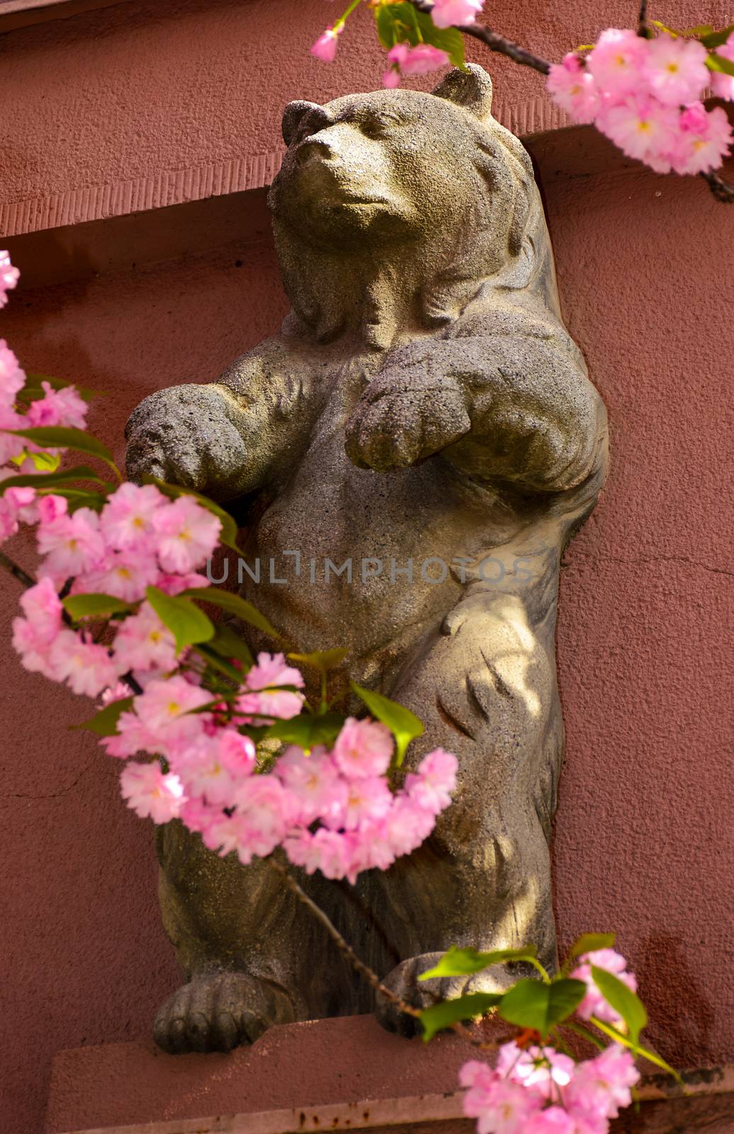bear sculpture among the cherry blossom flowers by Pellinni