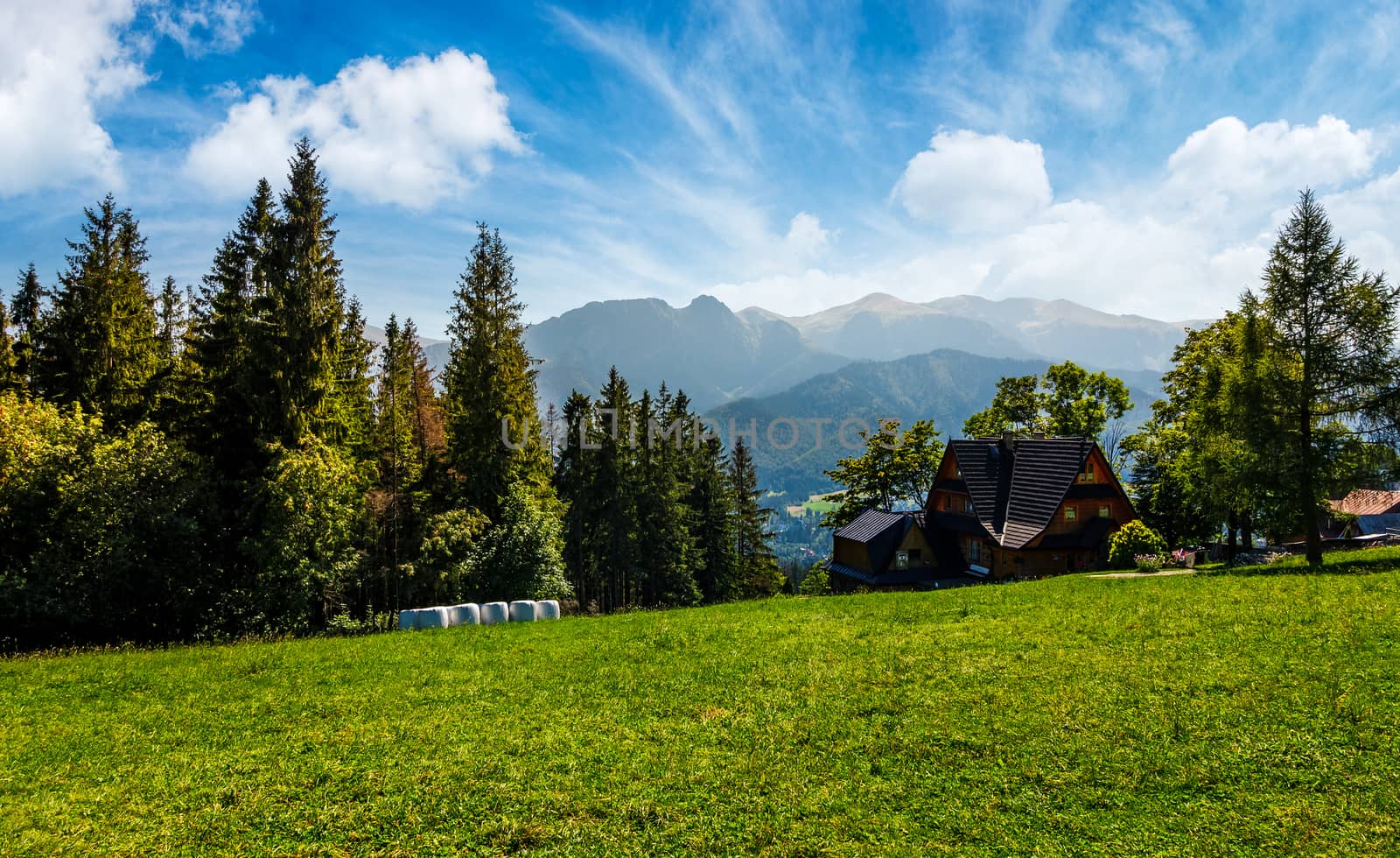 beautiful landscape of Tatra Mountains. location Zakopane village, Poland. lovely scenery with forest on a grassy meadow and a ridge under the gorgeous sky in the distance