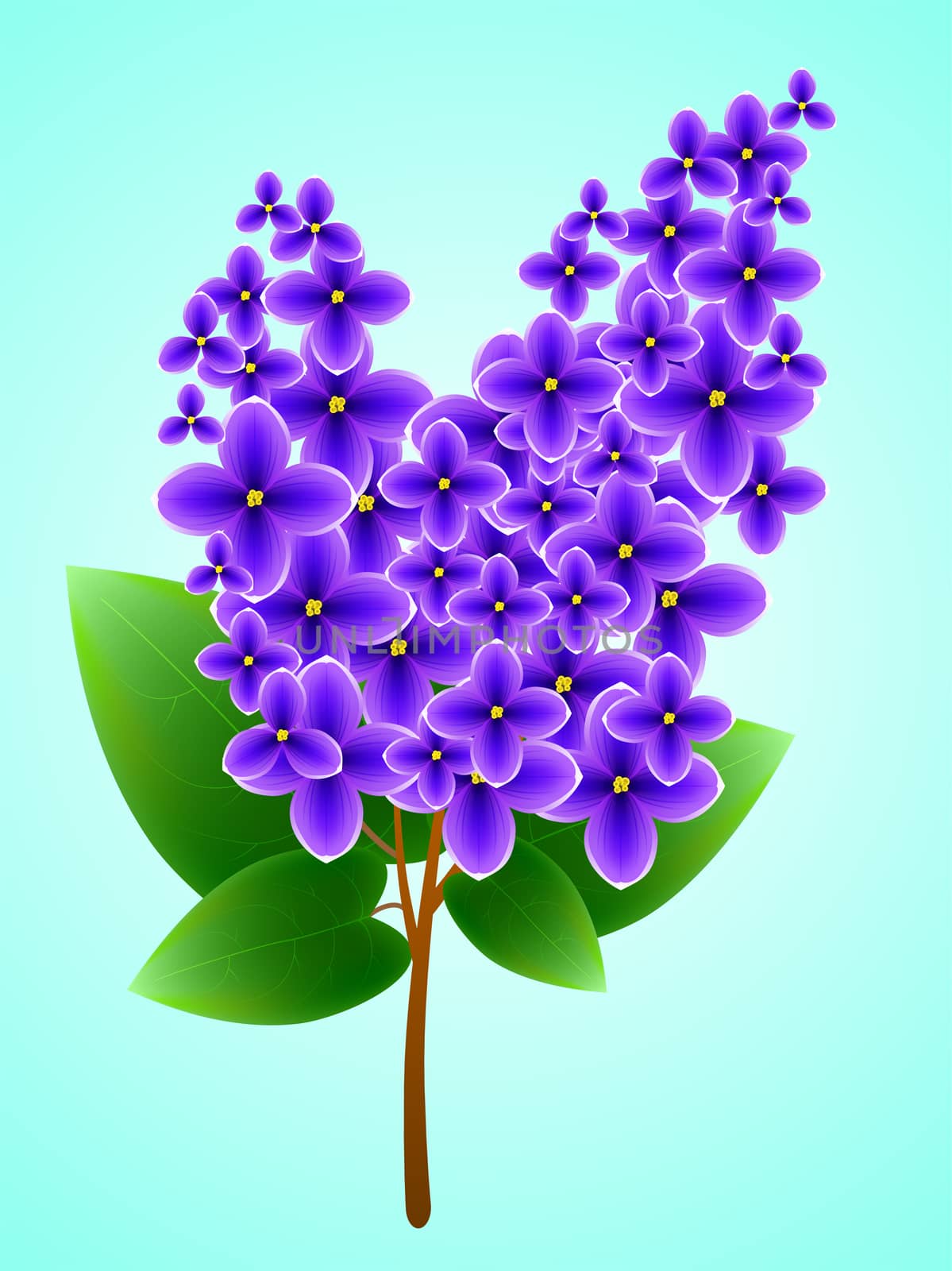 Spring background with beautiful blooming lilac. illustration