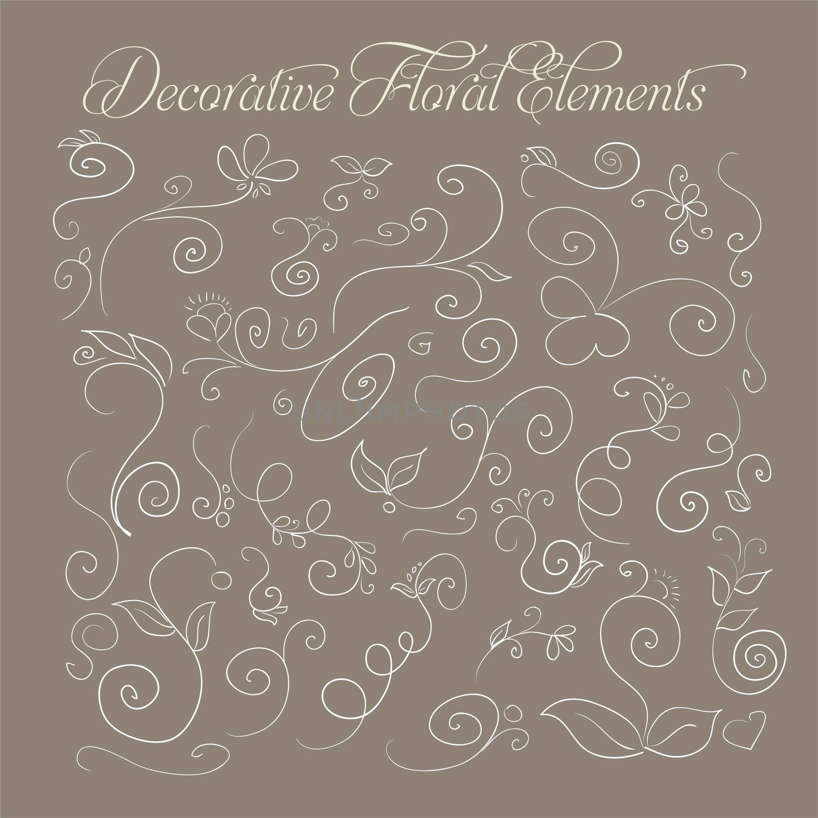 Set of decorative floral elements hand-drawn on a brown background for your design. by Adamchuk