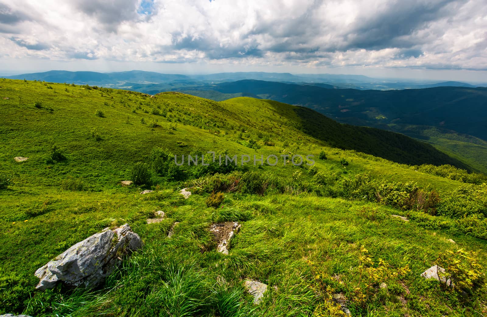 grassy slope of the mountain on a cloudy day. beautiful summer landscape of Carpathian mountains