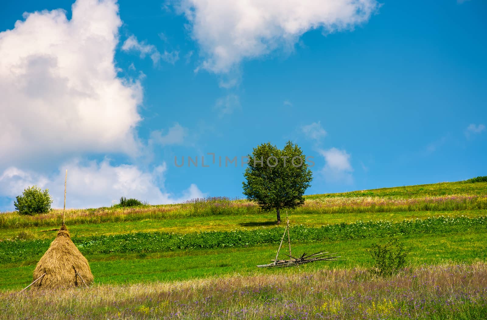 haystack and a tree on the grassy field by Pellinni