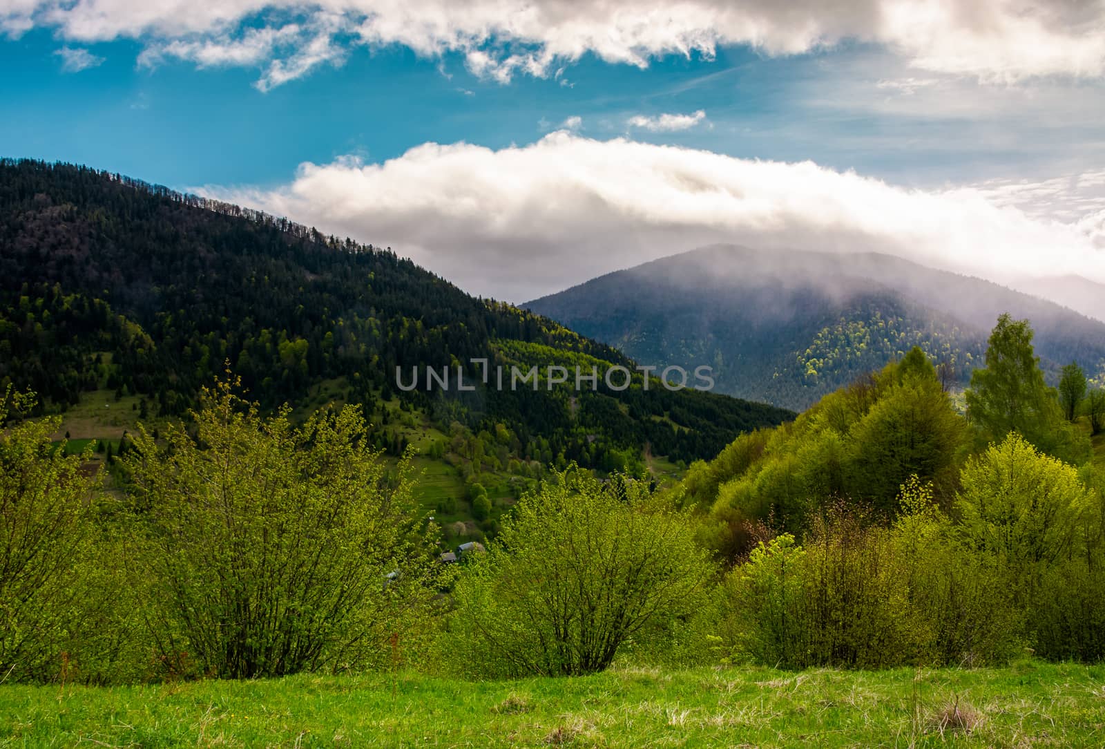 countryside of Carpathian mountains in springtime by Pellinni