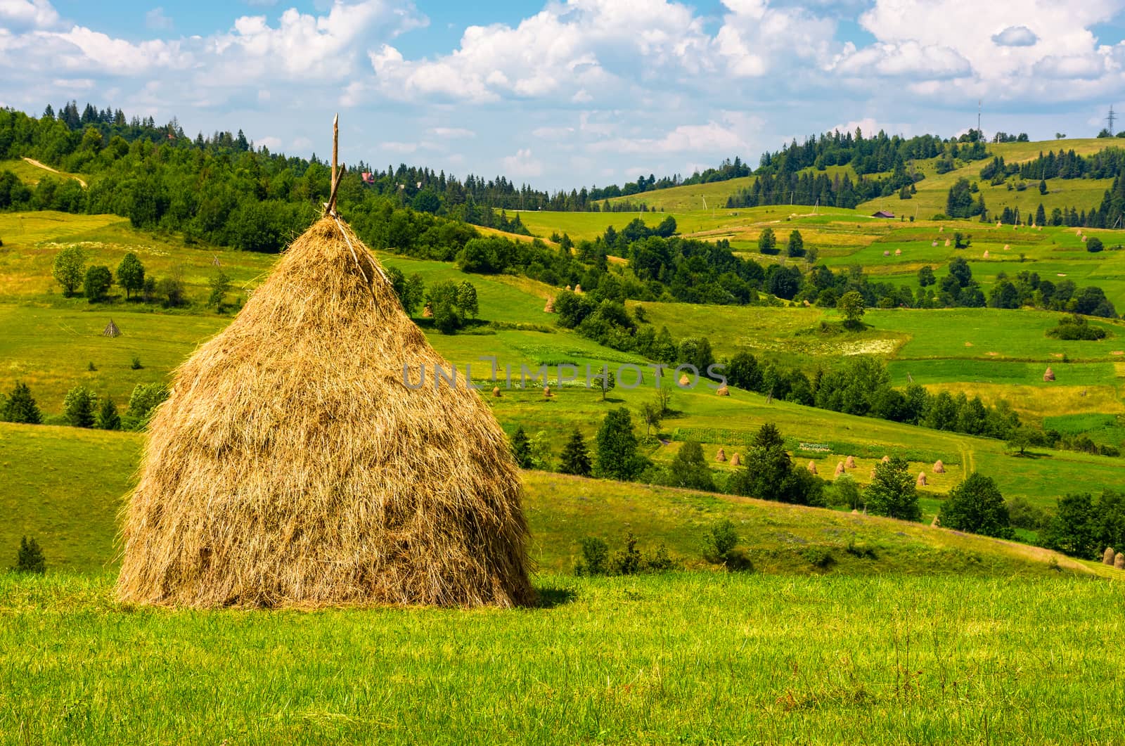 haystack on the grassy field by Pellinni