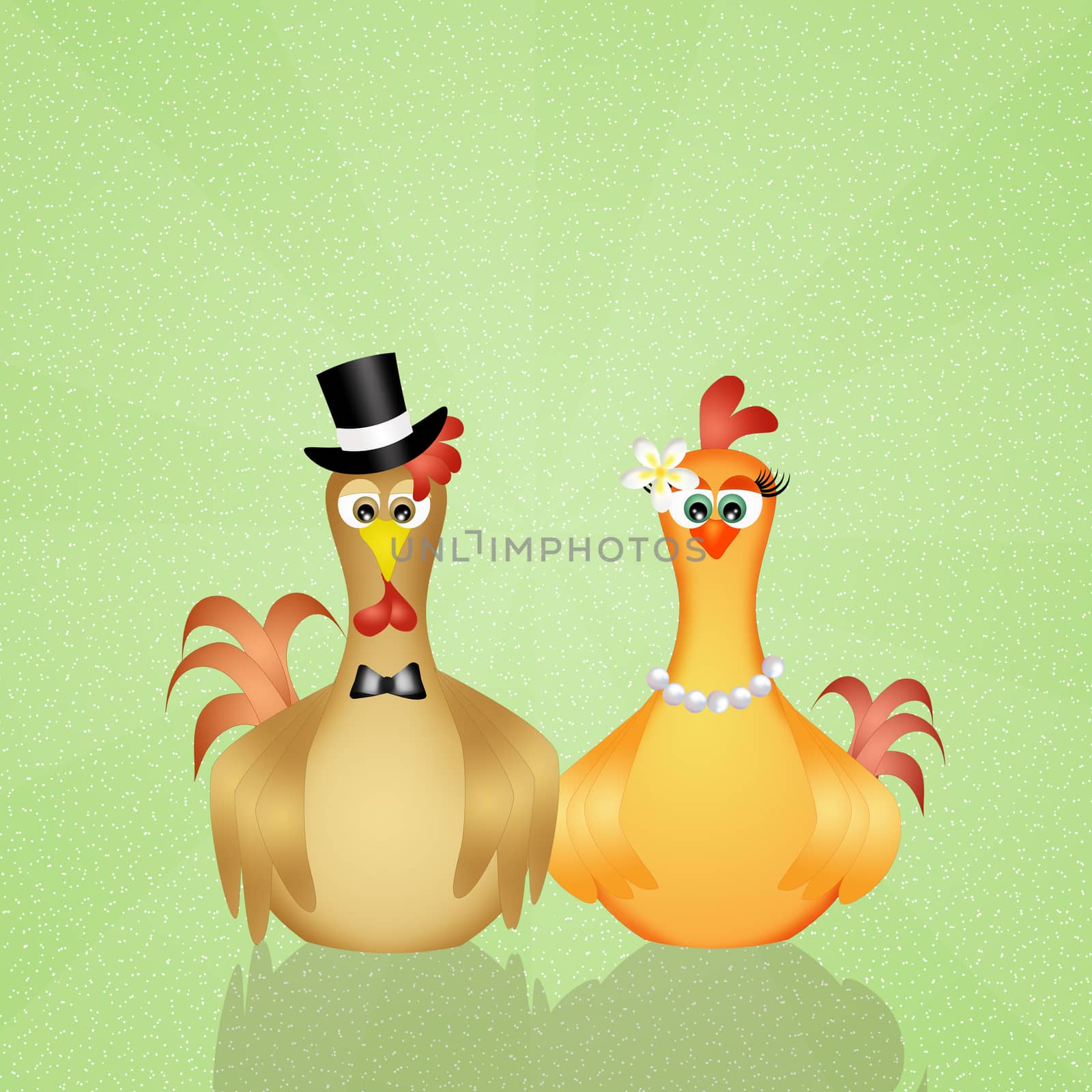 illustration of couple of chickens