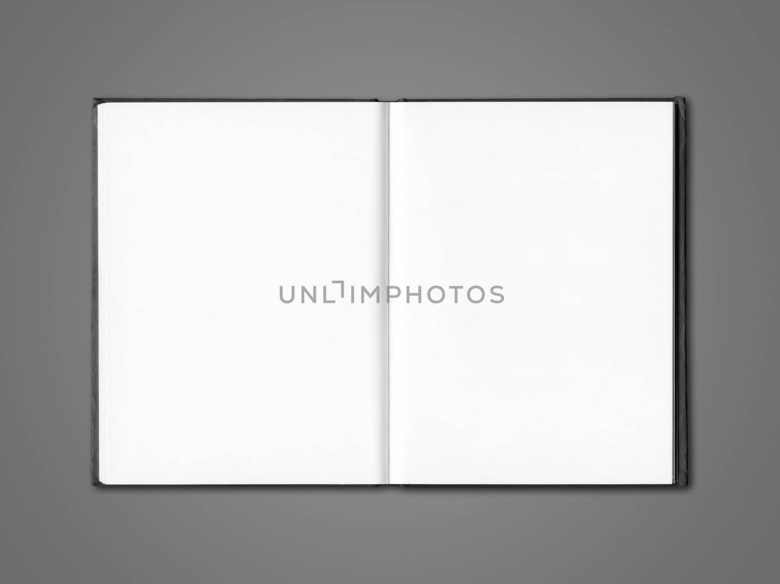 Blank open notebook isolated on dark grey by daboost