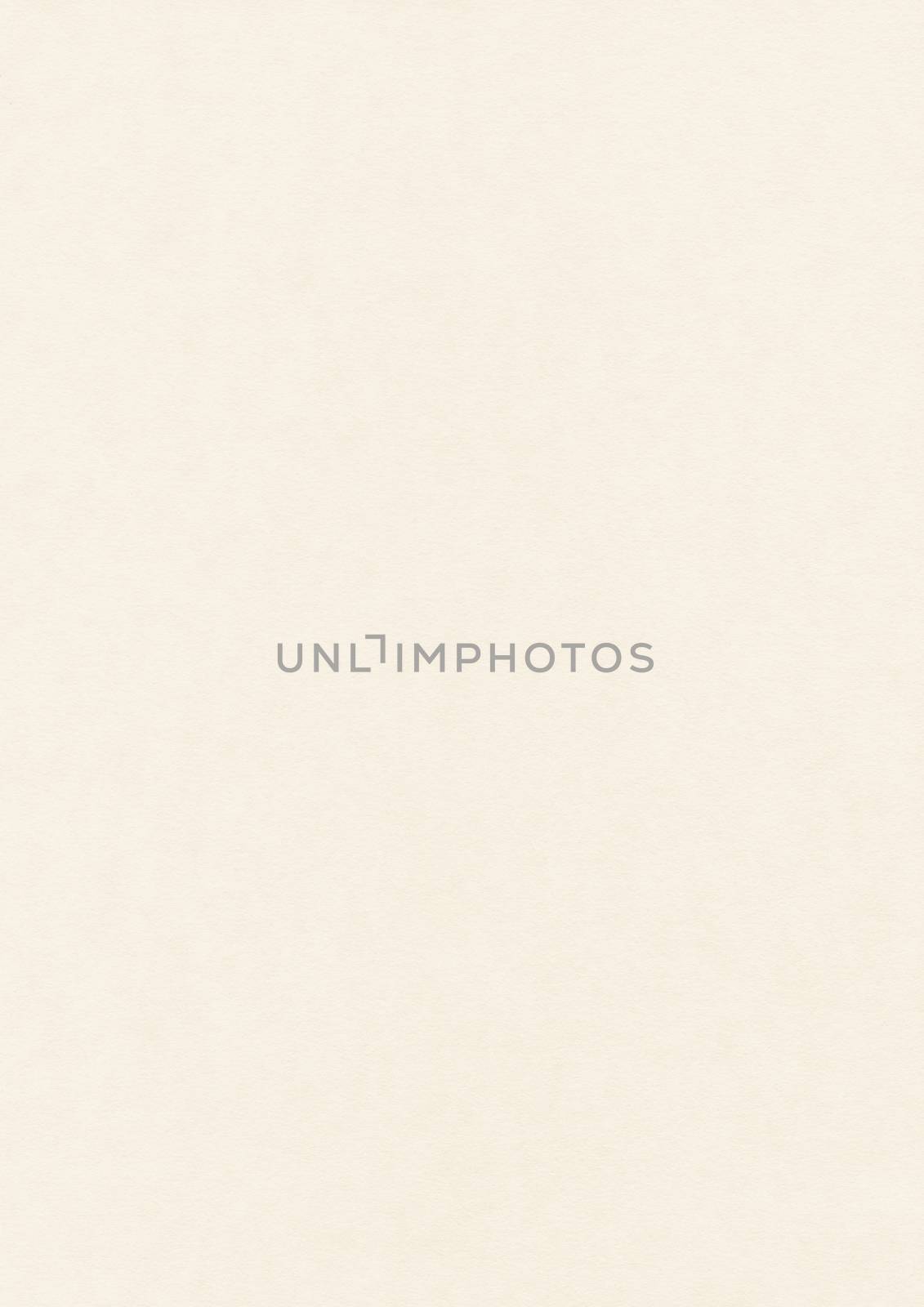 Blank cream colored paper sheet texture mockup template