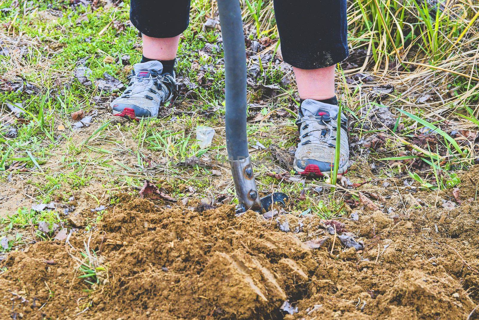 Woman digging soil with garden fork. Gardening and hobby concept by roman_nerud