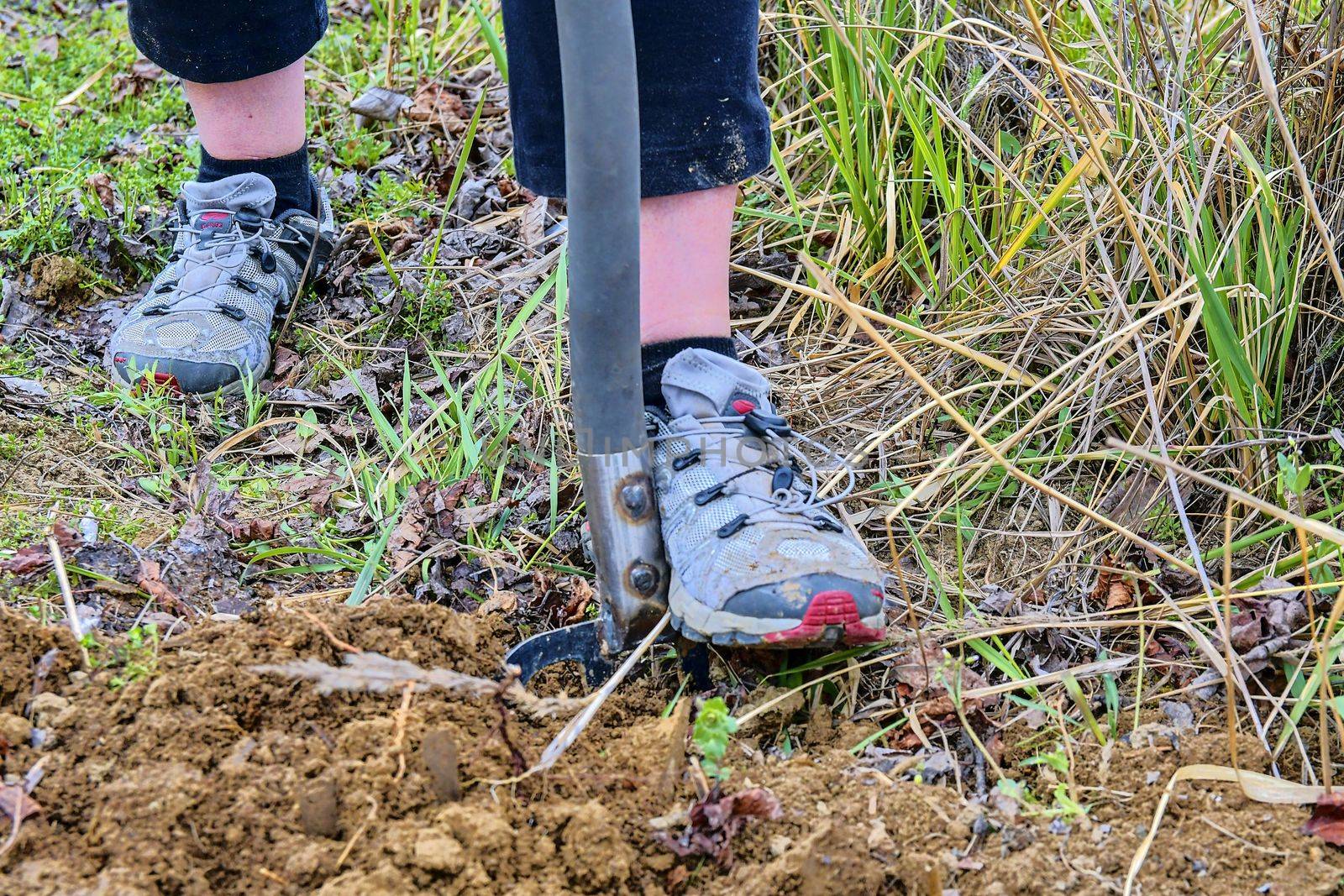 Woman digging soil with garden fork. Gardening and hobby concept. 