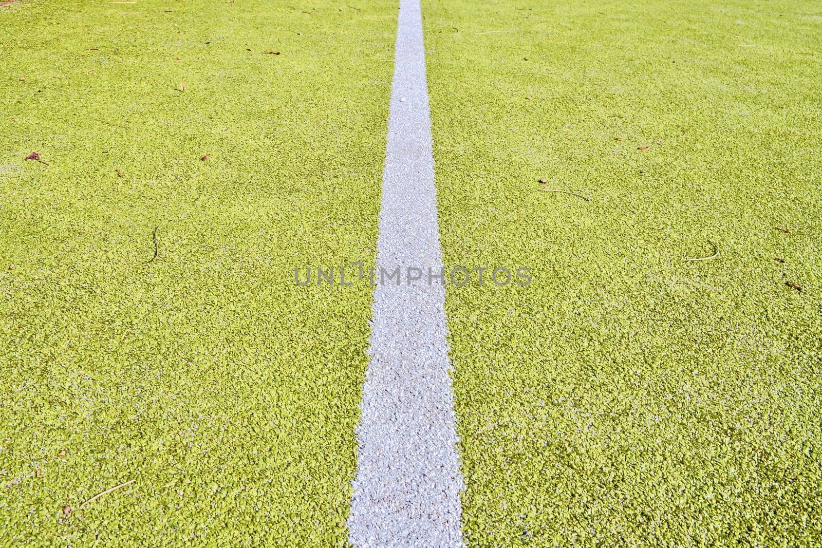 White line on green playing field. Copy space. Sport texture and background by roman_nerud