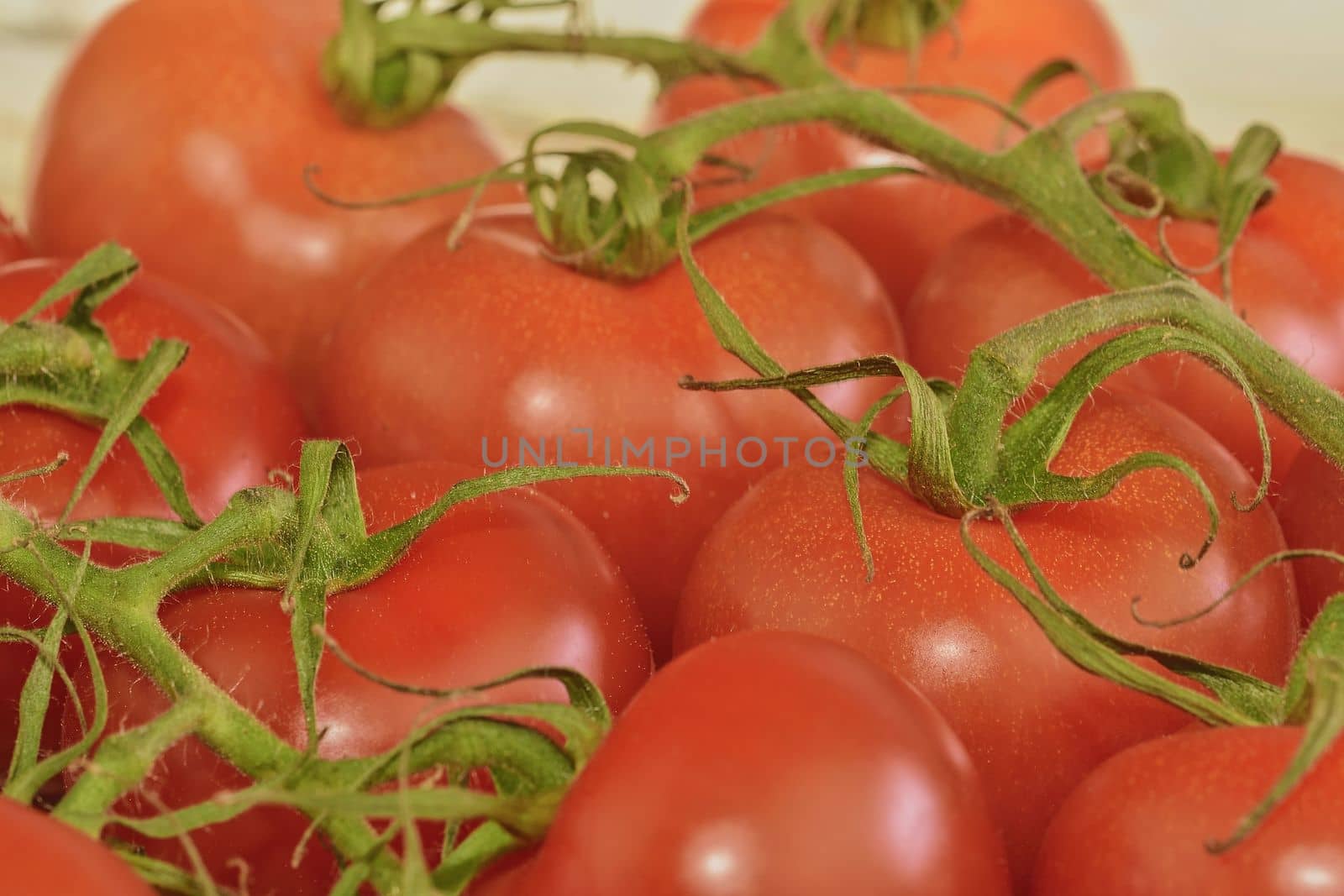 Fresh cherry tomatoes on rustic wooden white background. White background. Close-up. 