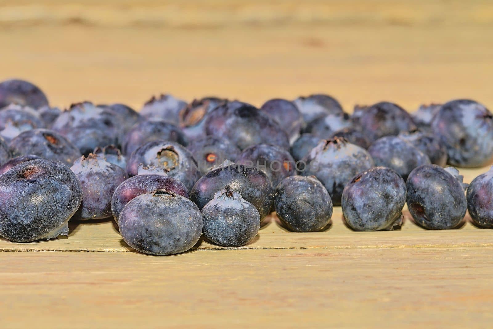 Blueberries  on white wooden background. Bilberries, blueberries, huckleberries, whortleberries. Close-up by roman_nerud