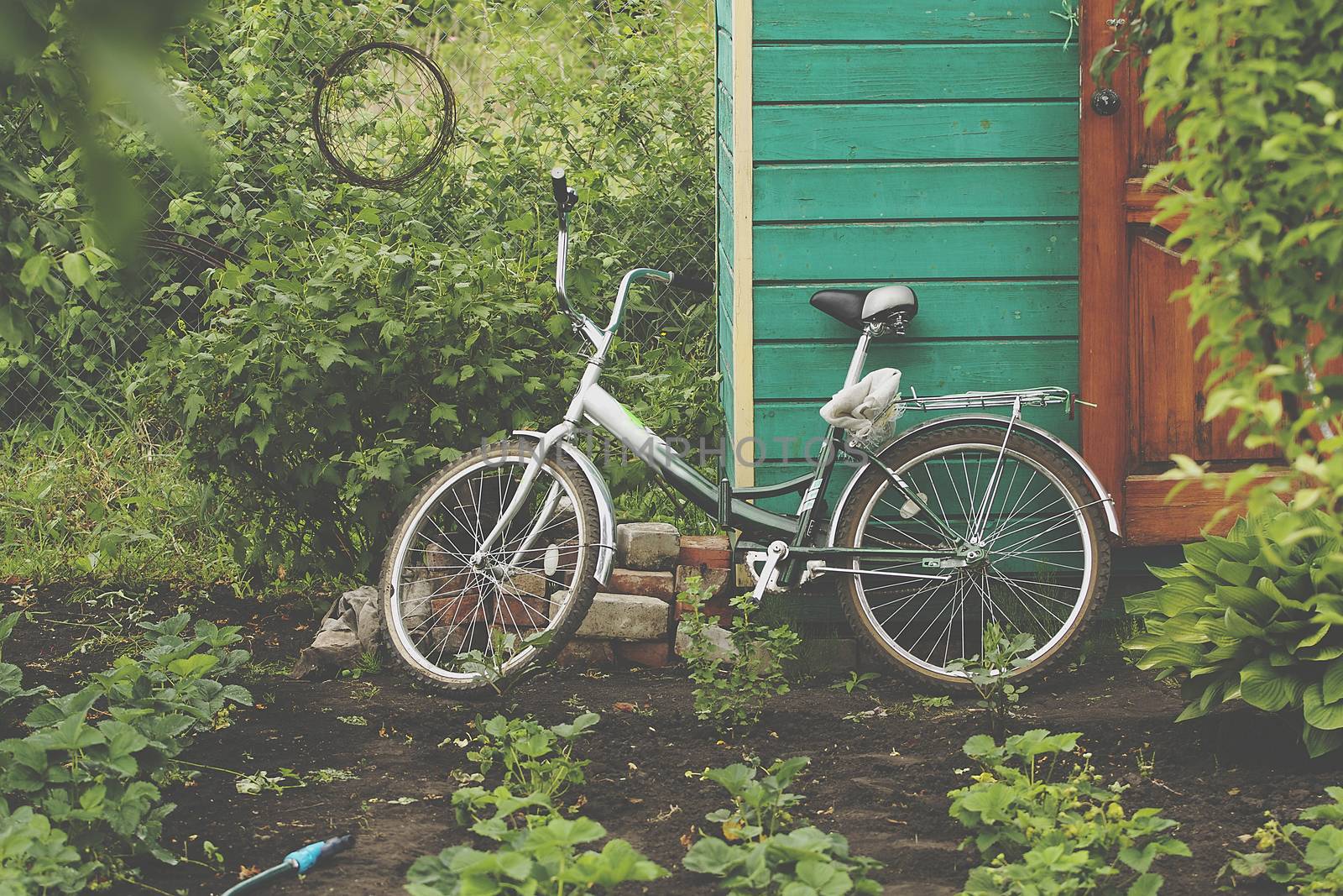 bicycle parked in the dunes, the Netherlands.