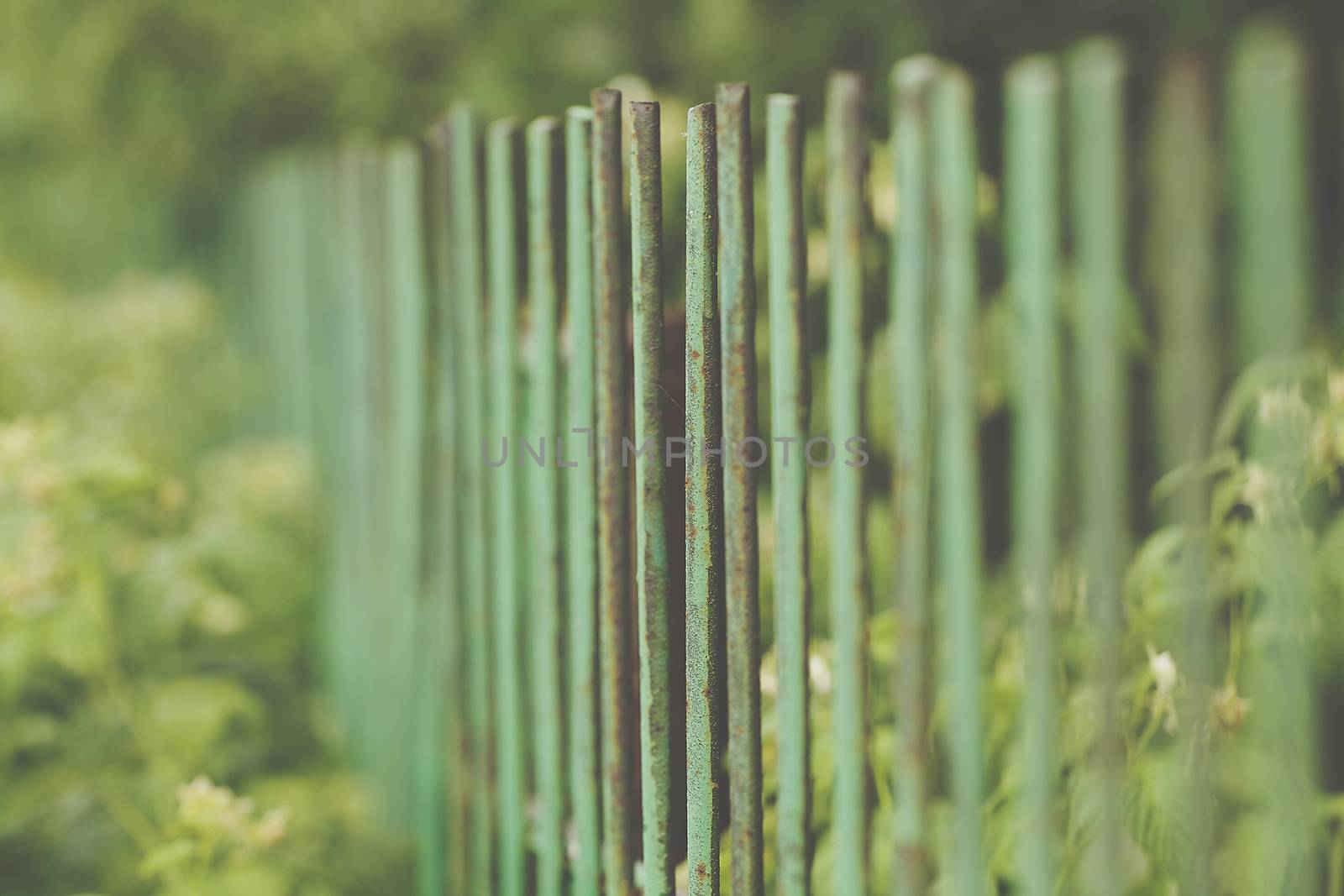 Image of a Beautiful decorative cast iron wrought fence with artistic forging. Metal guardrail close up.