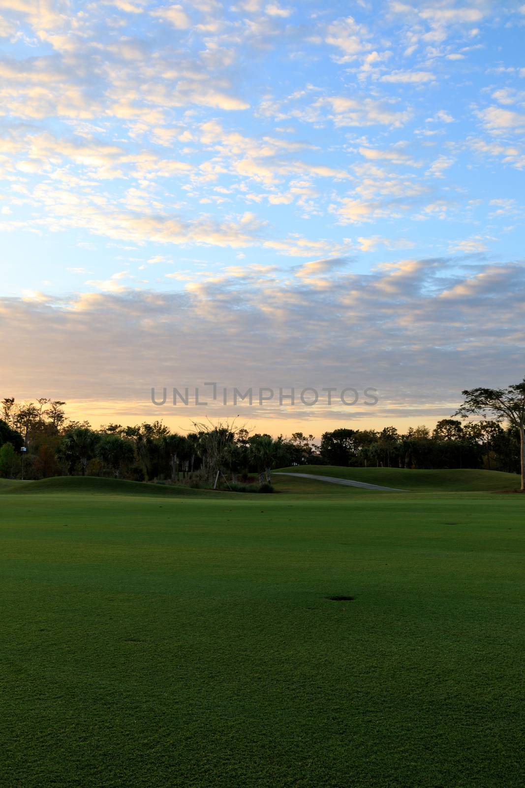 Freshly mowed green grass at dawn on a tropical golf course by steffstarr